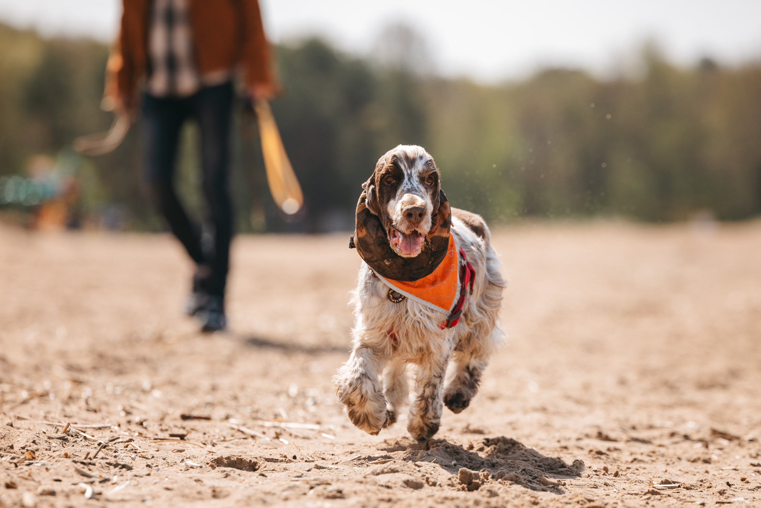 Спанимания. Фотограф анималист Осипчикова Мария