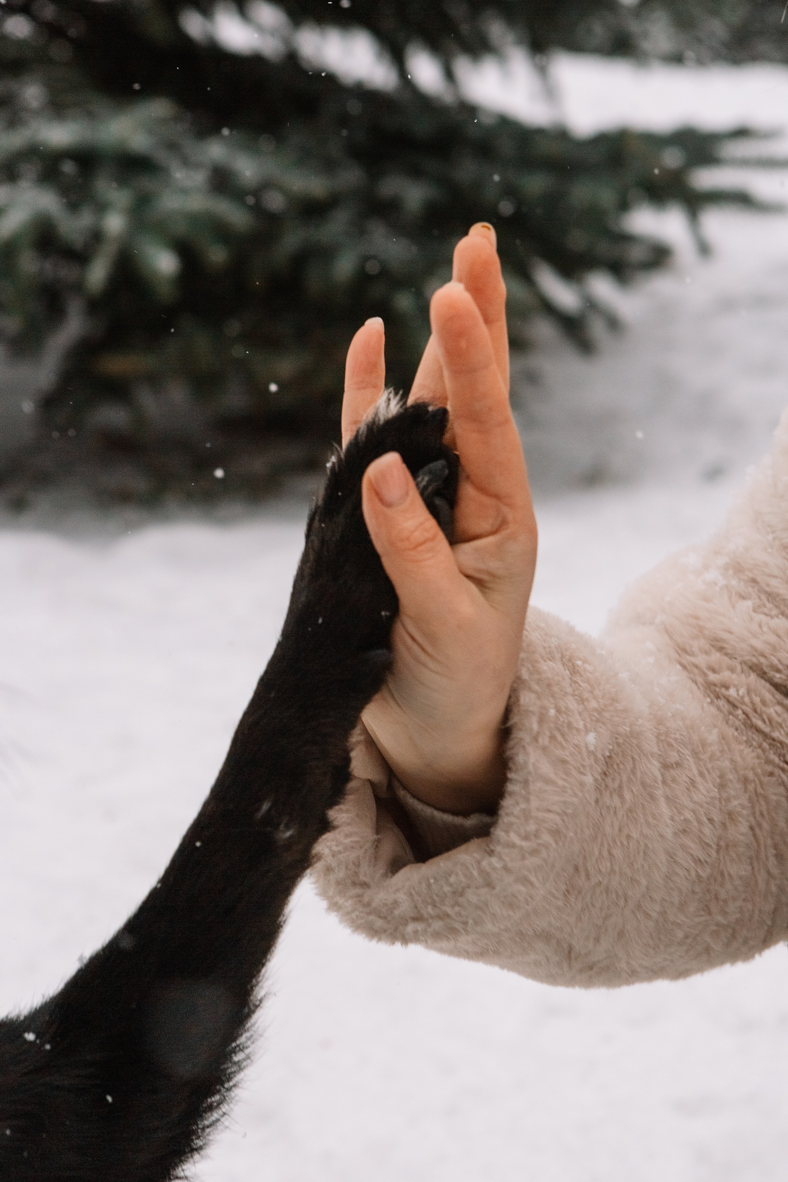 Татьяна. Семейный и портретный фотограф в Санкт-Петербурге