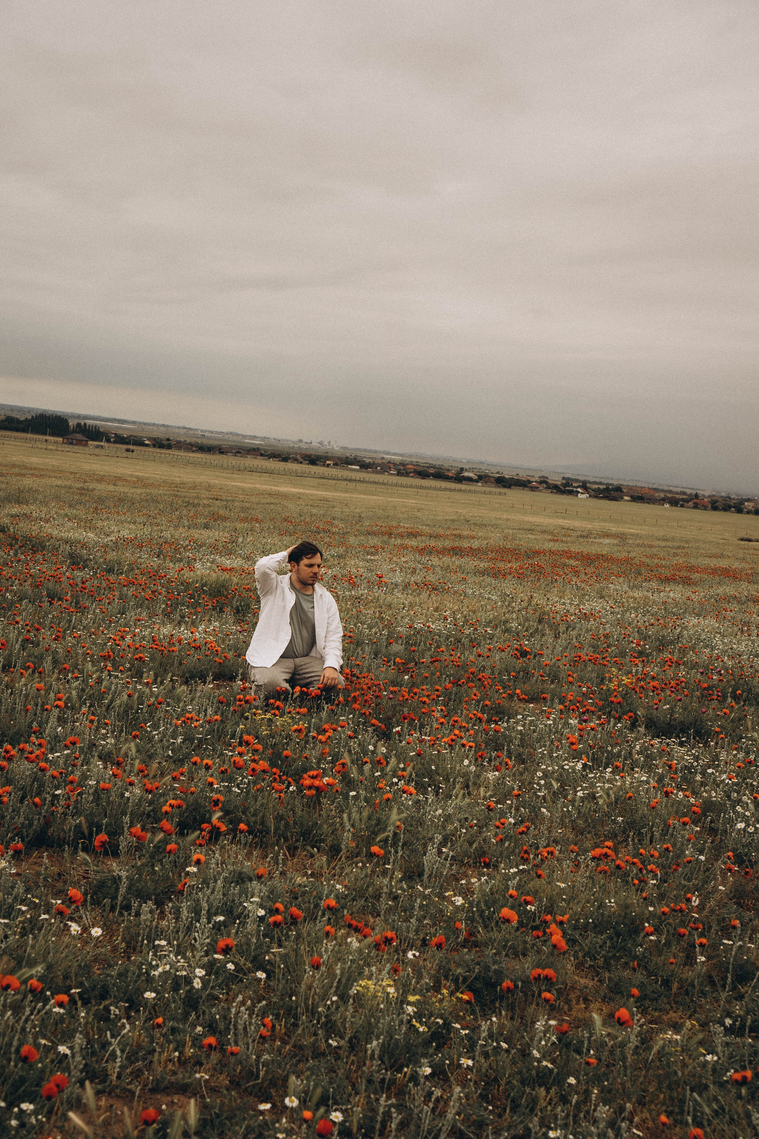 Маки. Профессиональный фотограф, Санкт-Петербург — Виктория Богомолова
