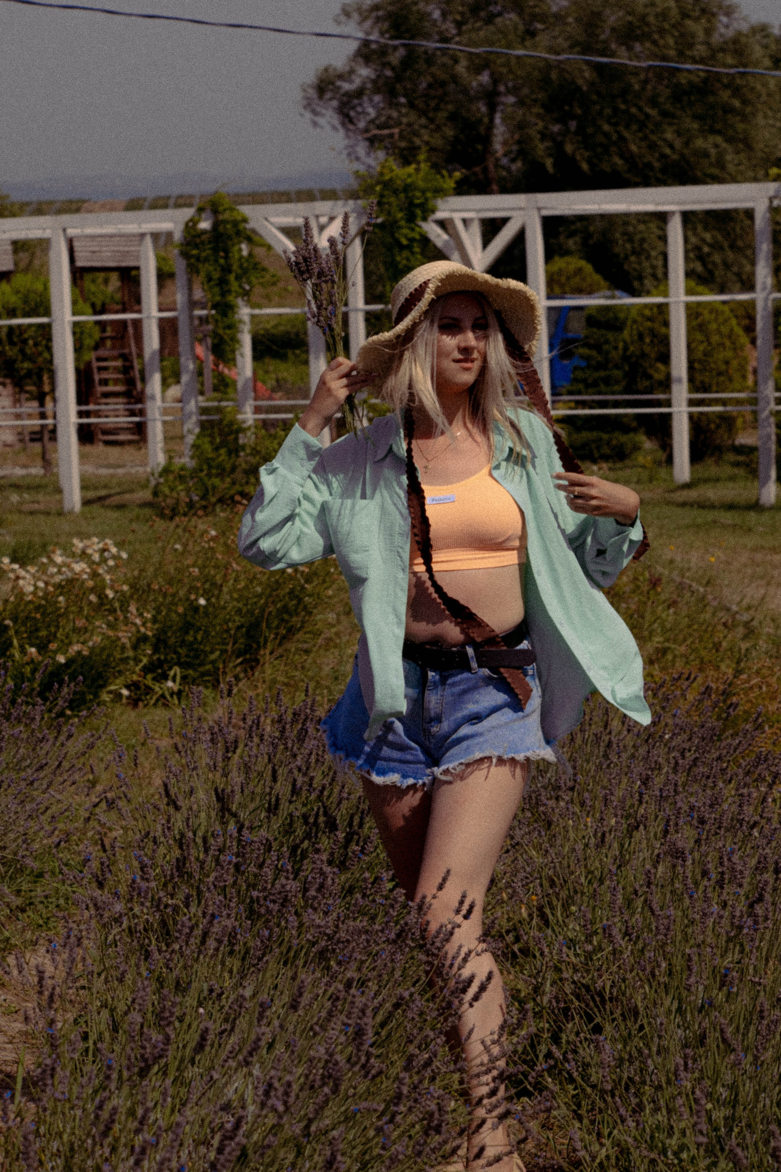 ЛАВАНВОДОВОЕ ПОЛЕ. Профессиональный фотограф, Санкт-Петербург — Виктория Богомолова