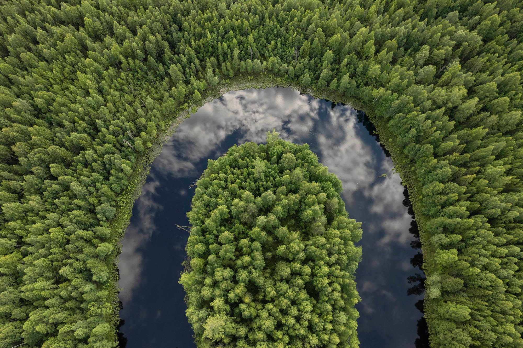 ПРИРОДА С ДРОНА. Фотограф Татьяна Борисова
