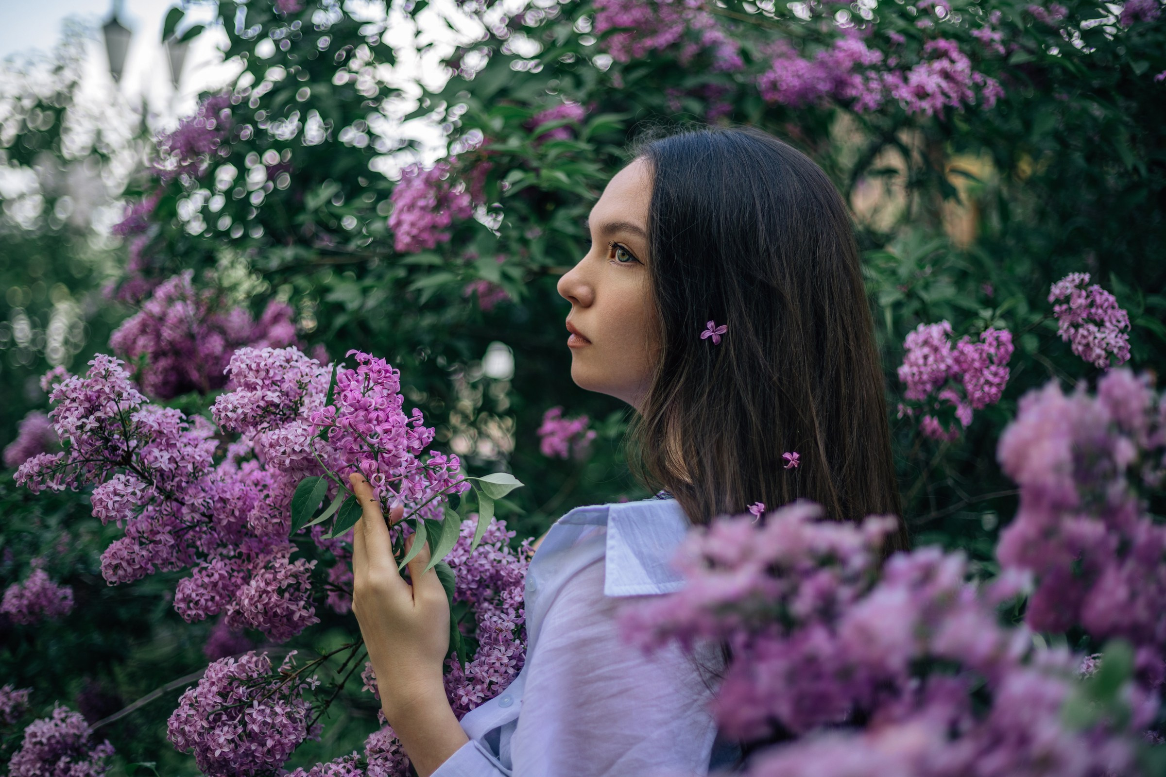 Смазы сирени. Екатерина. Июнь 2025. Фотограф Пермь. Свадьбы. Семья и дети, школа, д. сад. Фотокниги