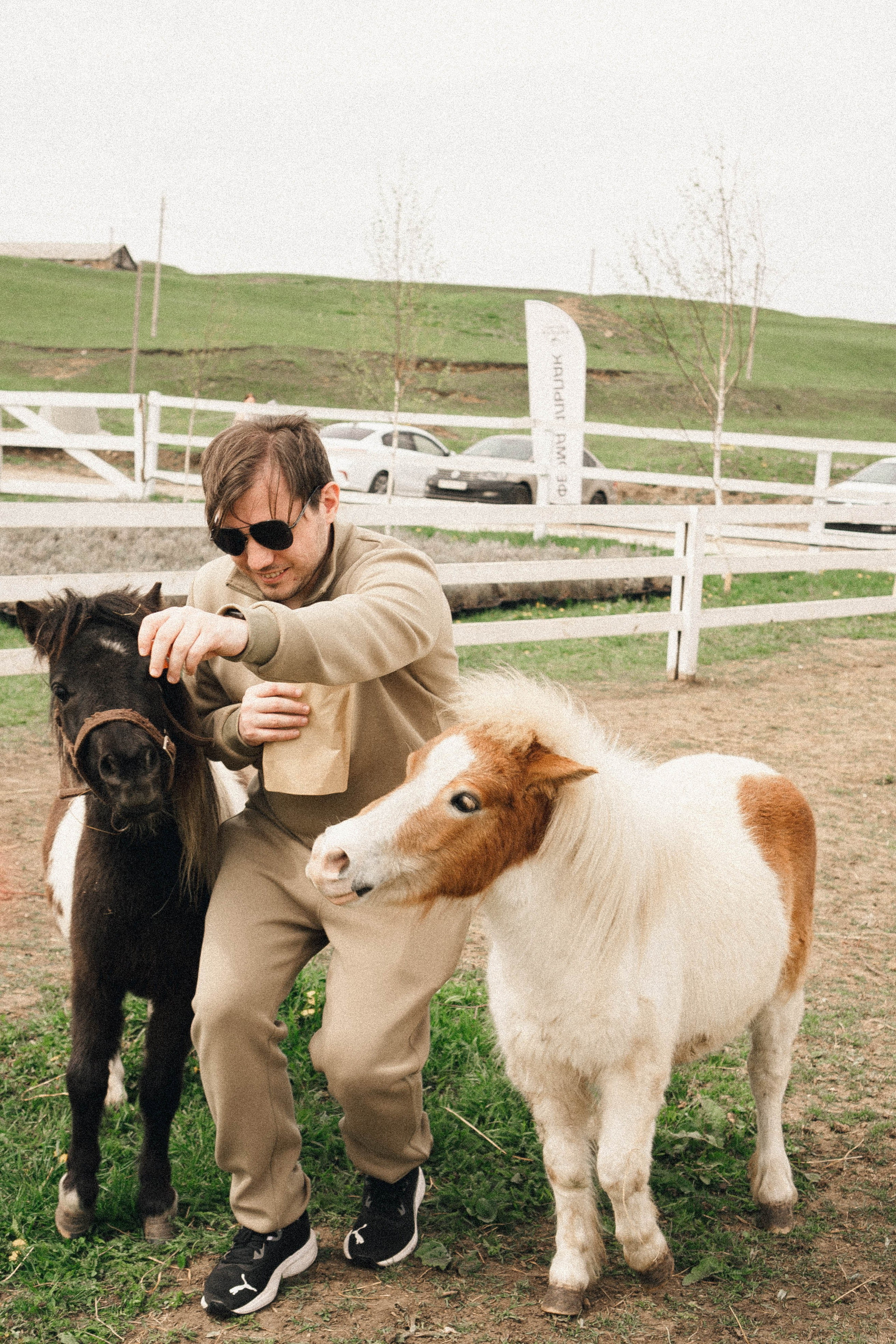 Ферма Альпак. Профессиональный фотограф, Санкт-Петербург — Виктория Богомолова