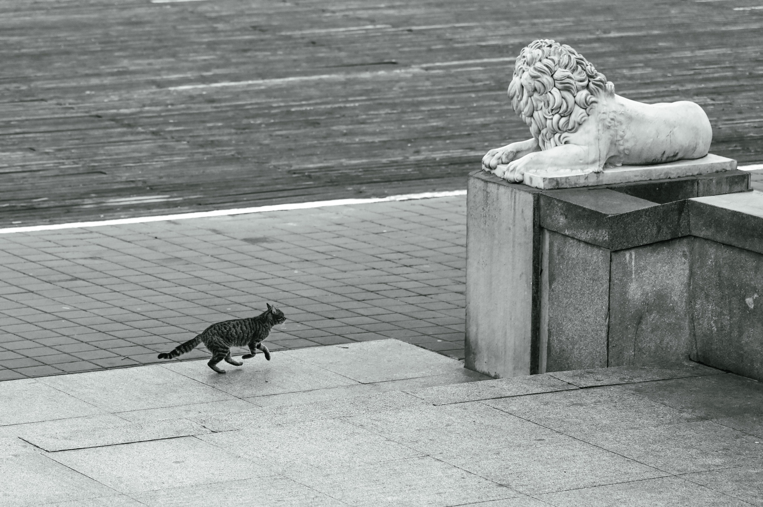 Стрит фото Москва. Фотограф Лобанов Антон, г. Москва