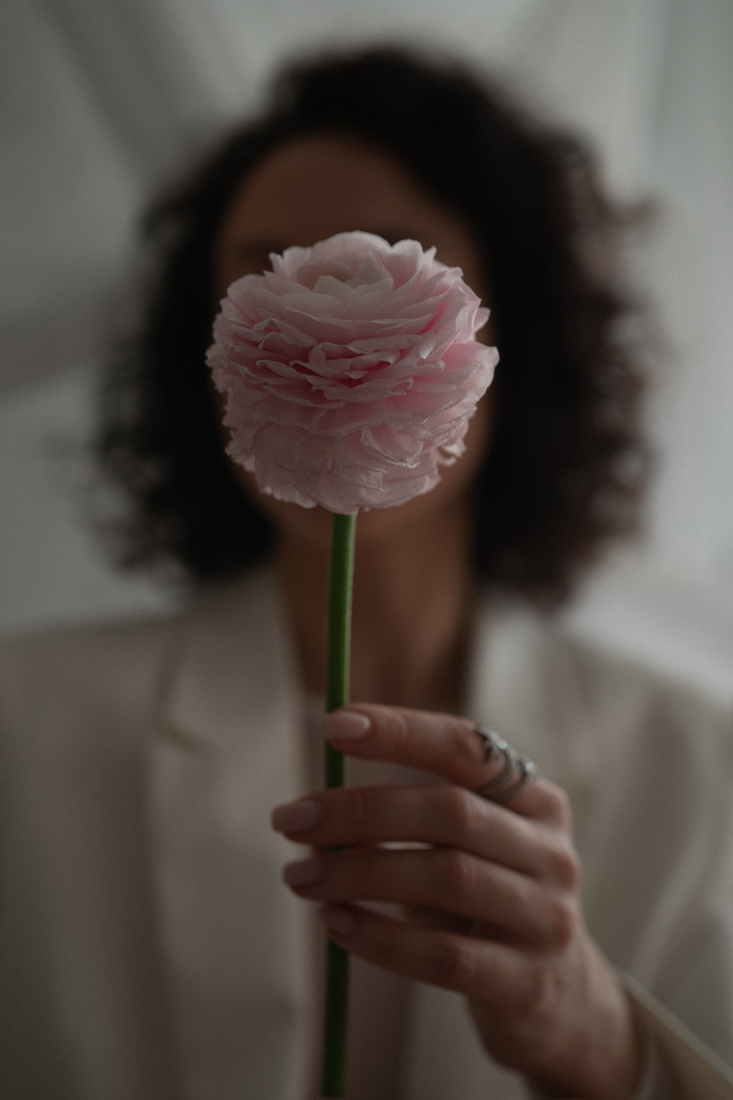 Фотоистория. Видеограф фотограф в Москве Ирина Царегородцева