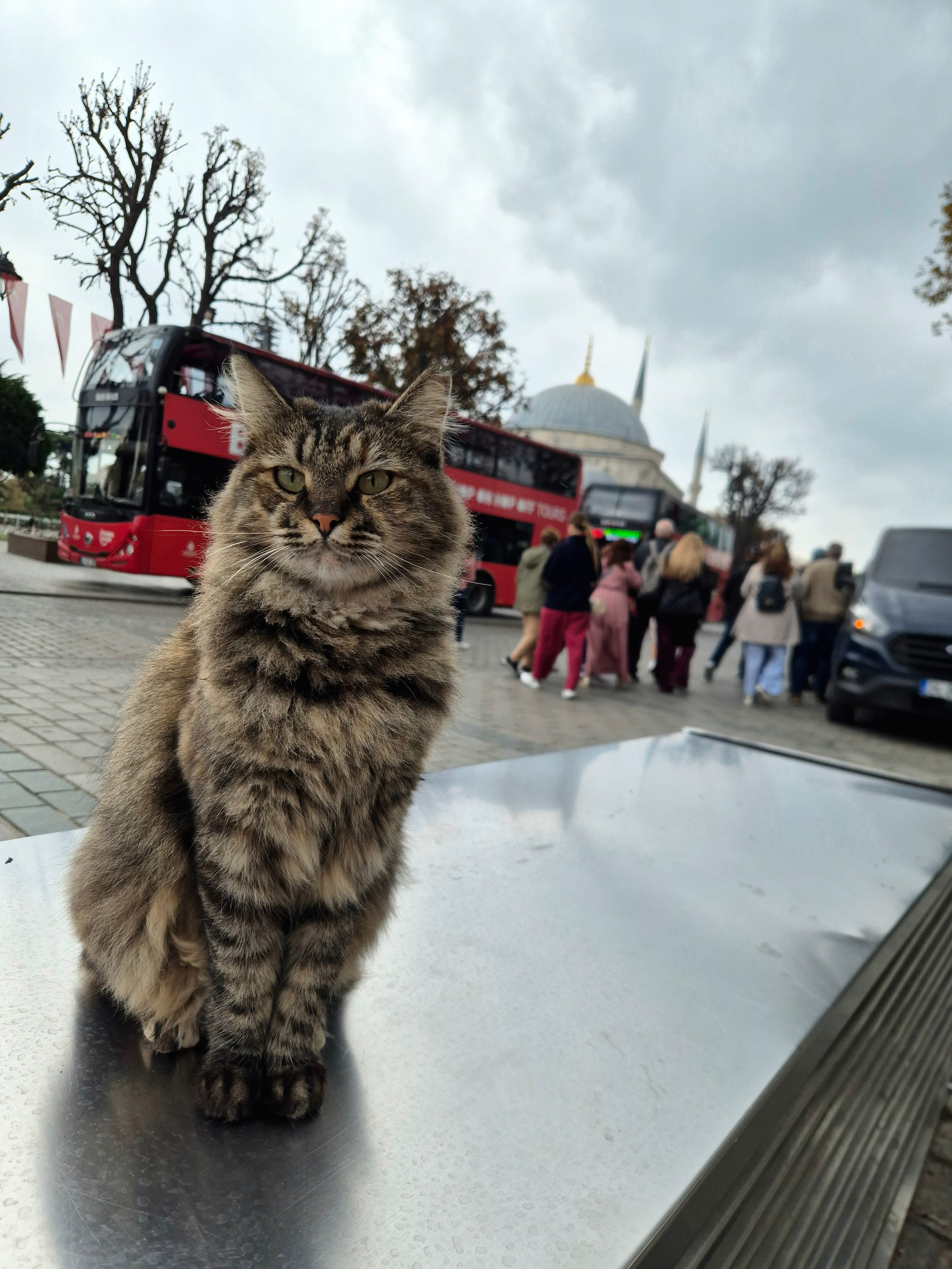 Повелитель Стамбула