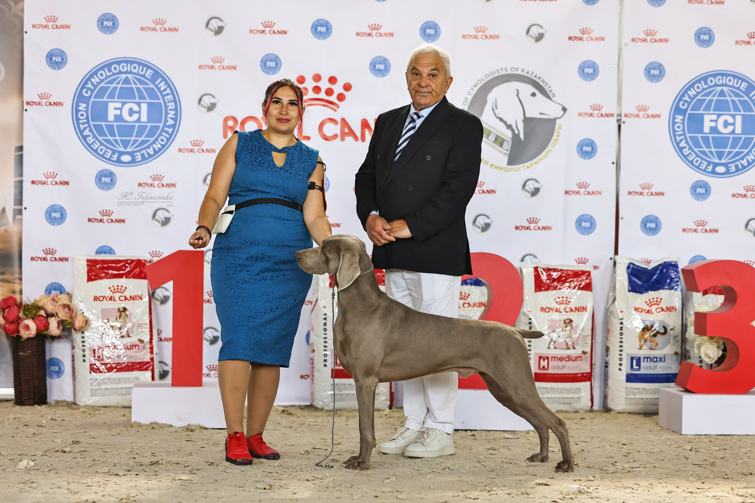 Астана 2хCACIB 26-28.09.2025. Фотограф-анималист Юлия Германика