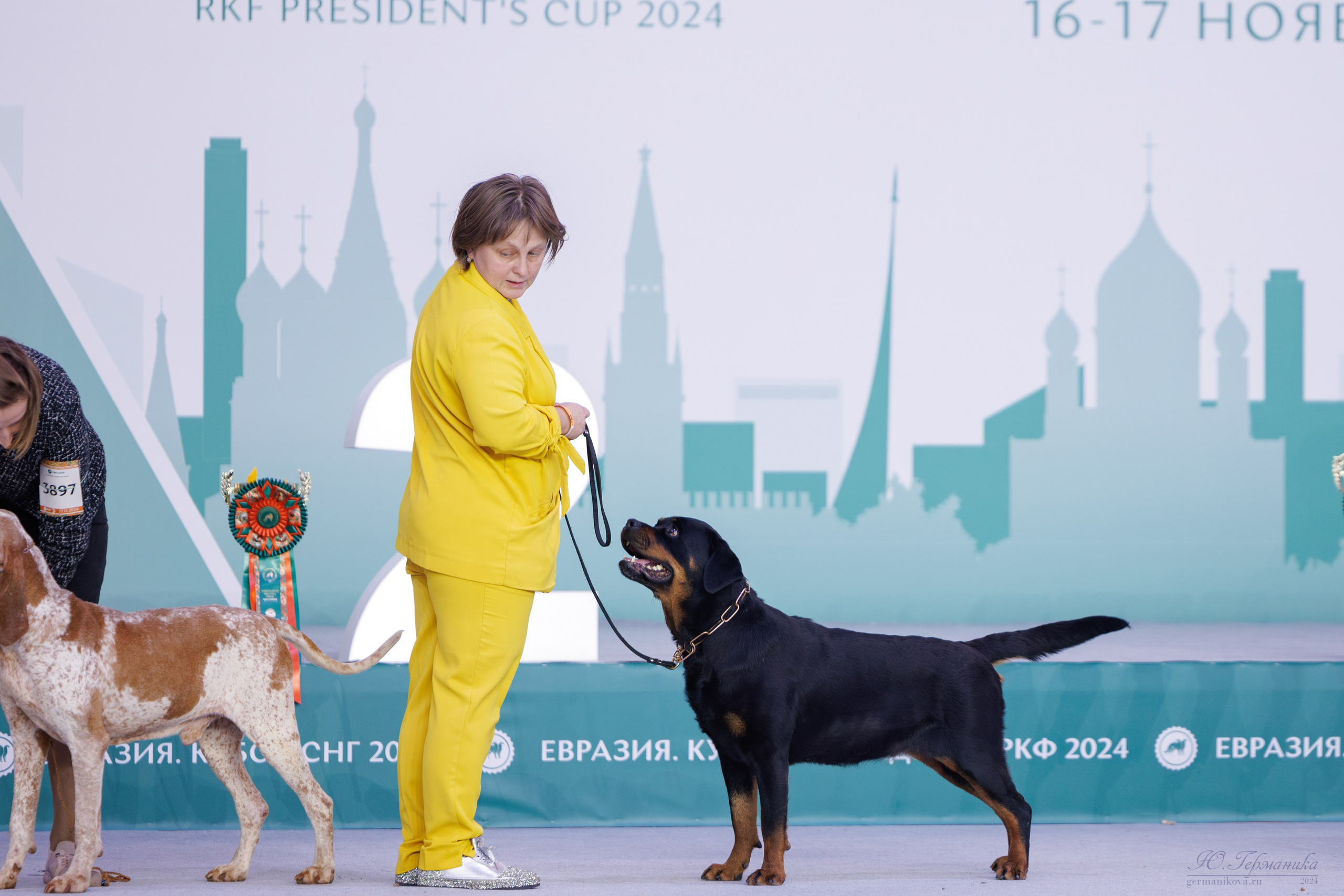 Евразия 16-17.11.2024. Фотограф-анималист Юлия Германика