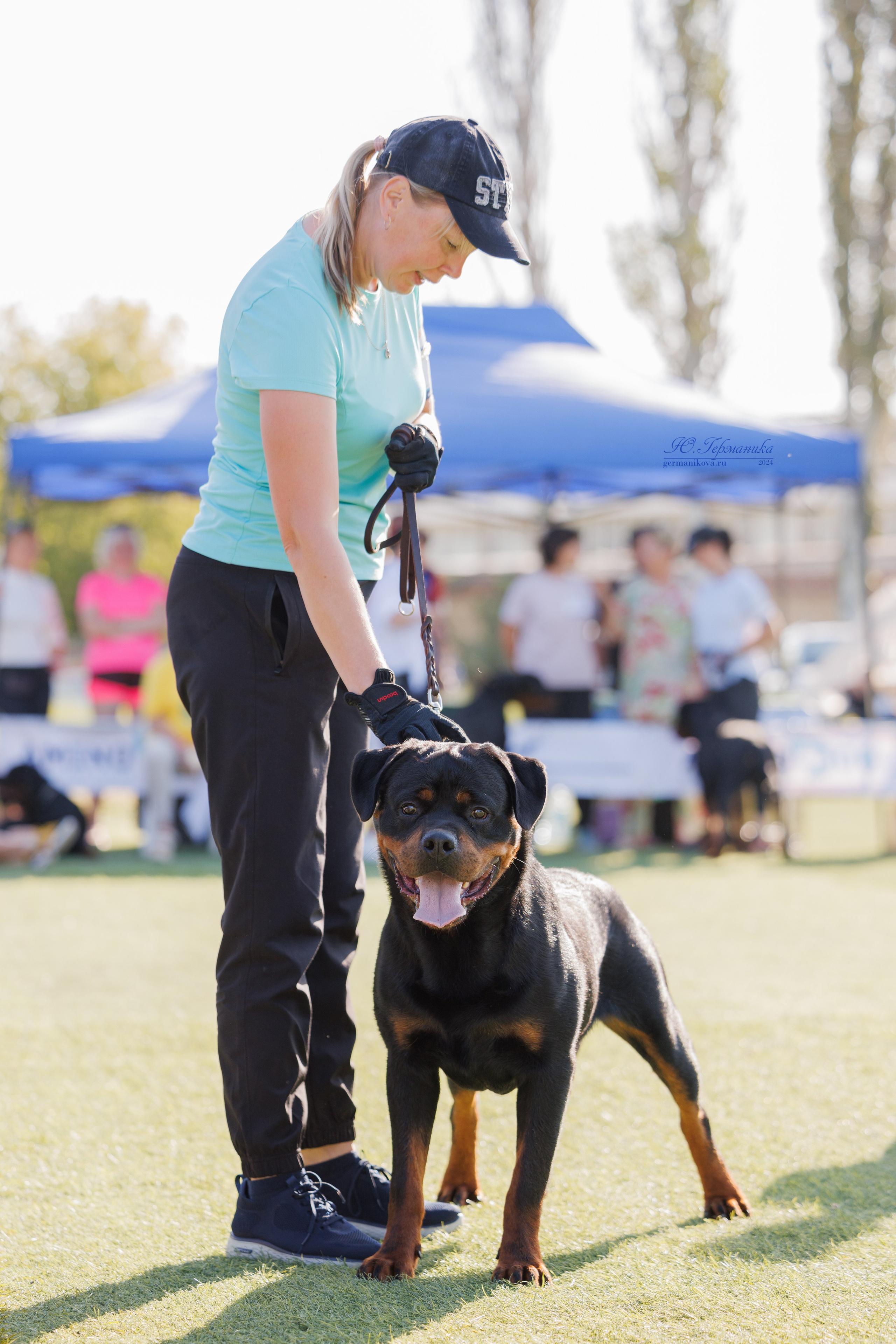 Анапа ротвейлеры 14-15.09.2024. Фотограф-анималист Юлия Германика