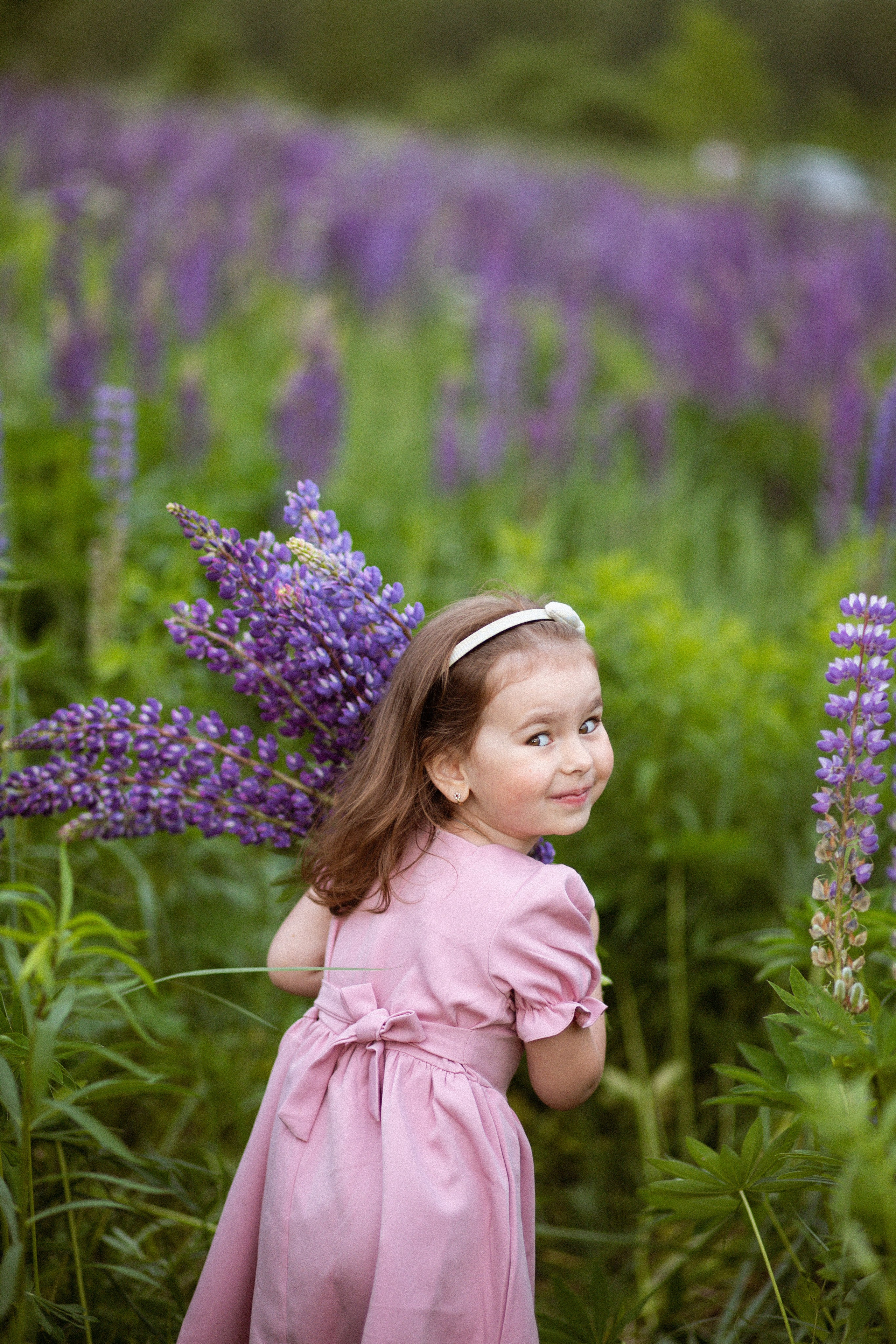 Июньские люпины. Фотограф в Москве/Санкт-Петербурге