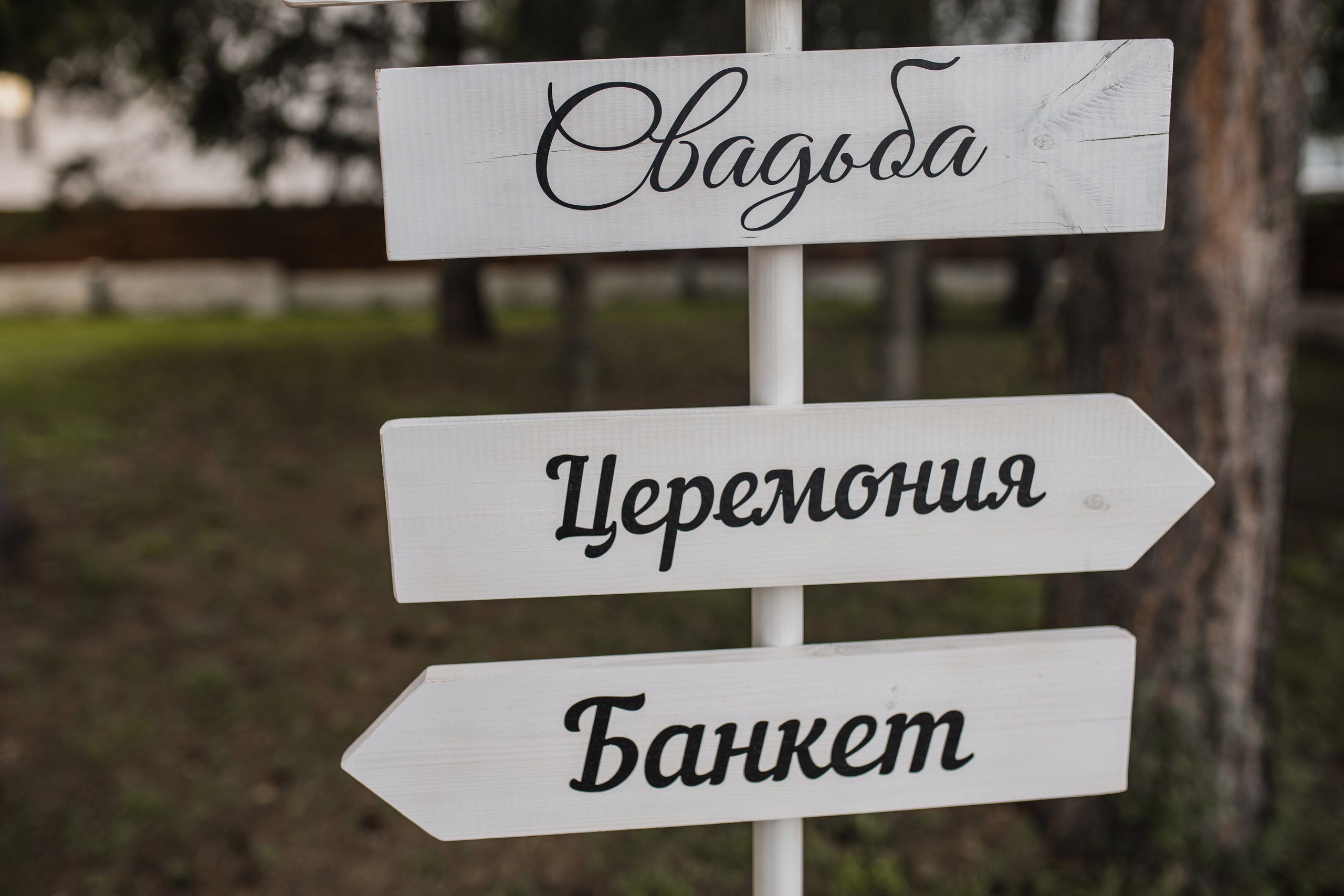 Александр & Алёна. Свадебный фотограф в Новосибирске Анжелика Шамсутдинова