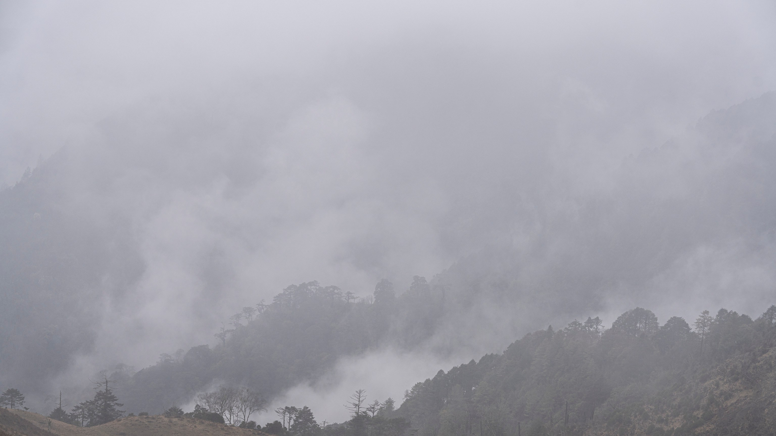 India travel. Фотограф Сергей Танков