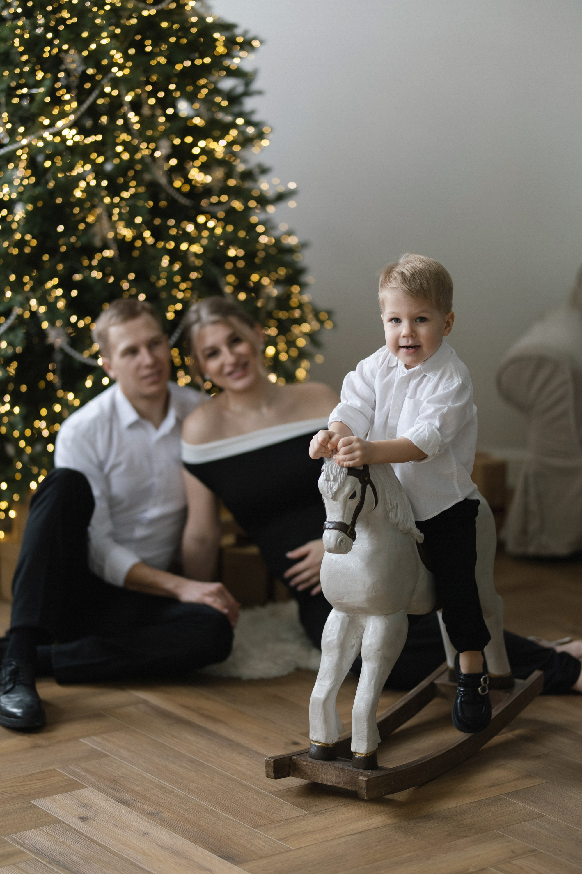 «В ОЖИДАНИИ НОВОГО ГОДА». Maria Startseva Photo