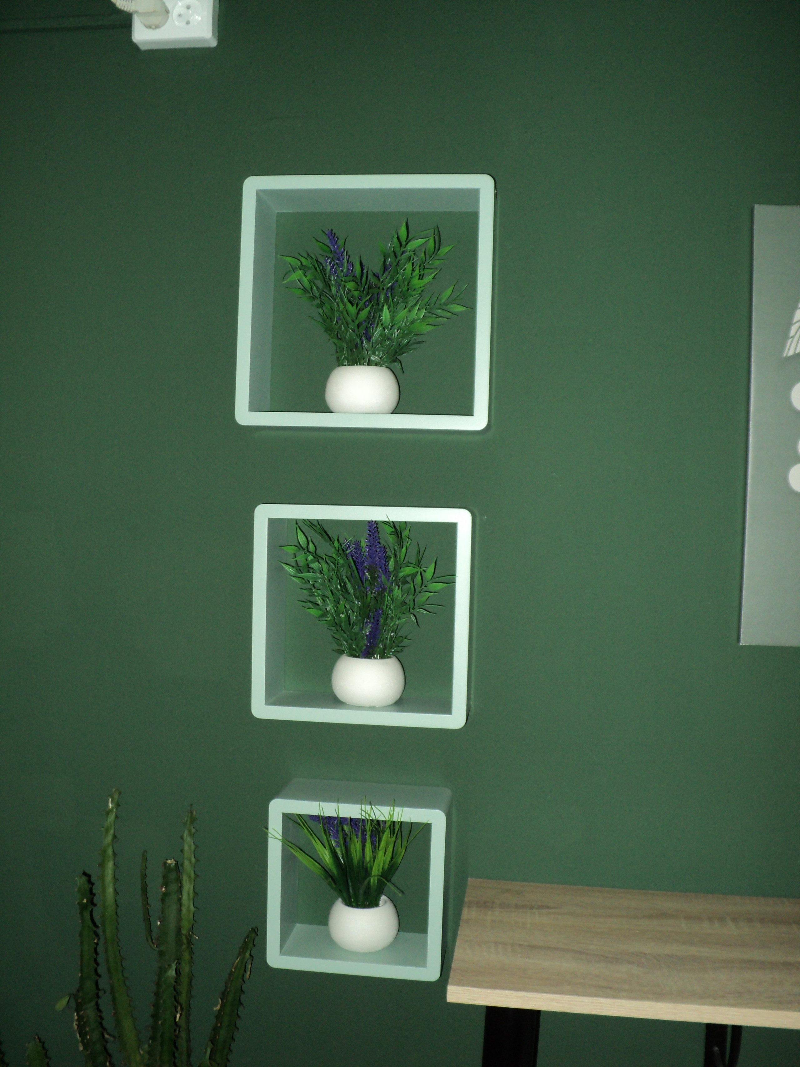 Август 2025. Den Mirov — Фотограф, Музыкант