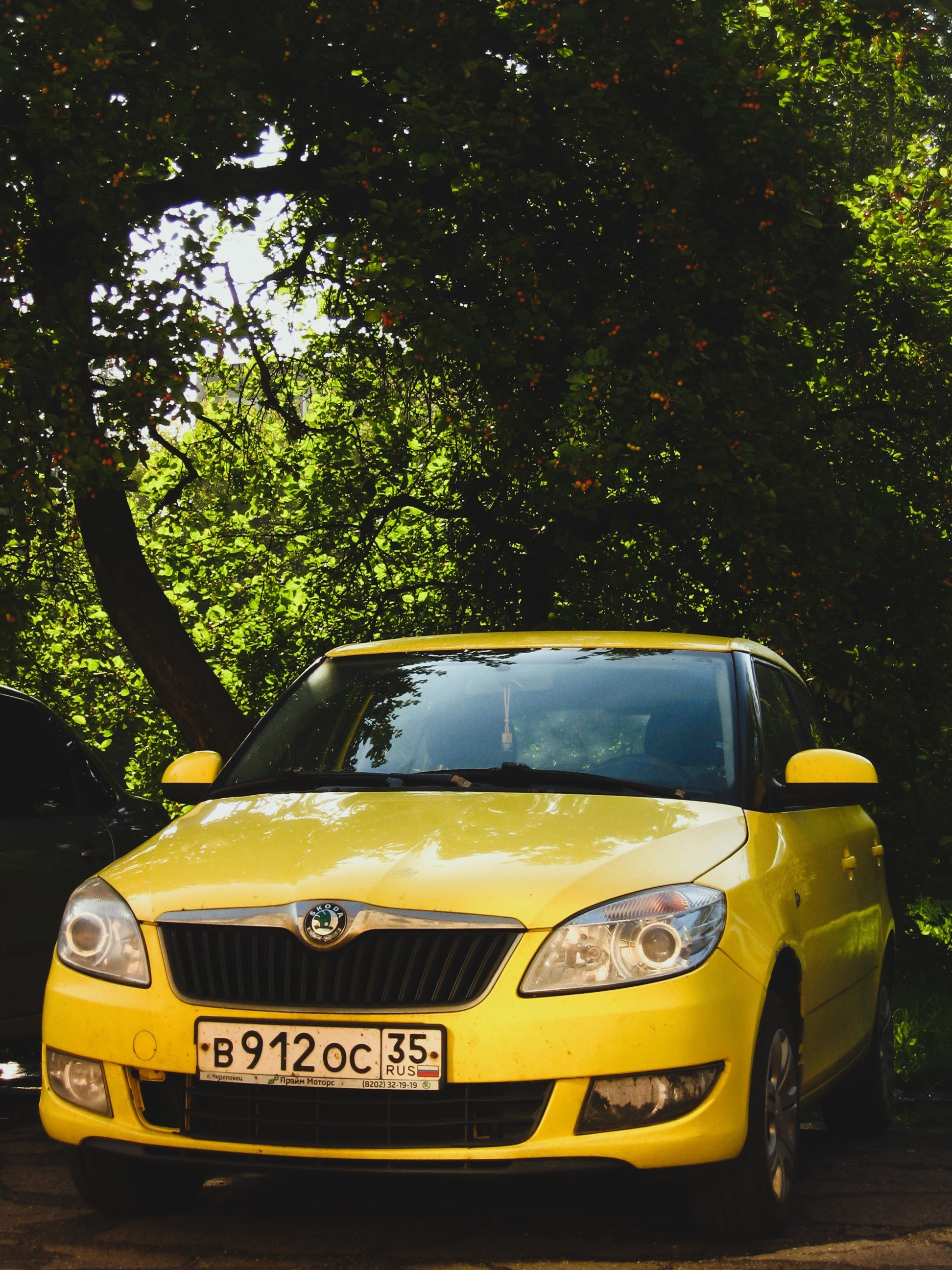 Август 2025. Den Mirov — Фотограф, Музыкант