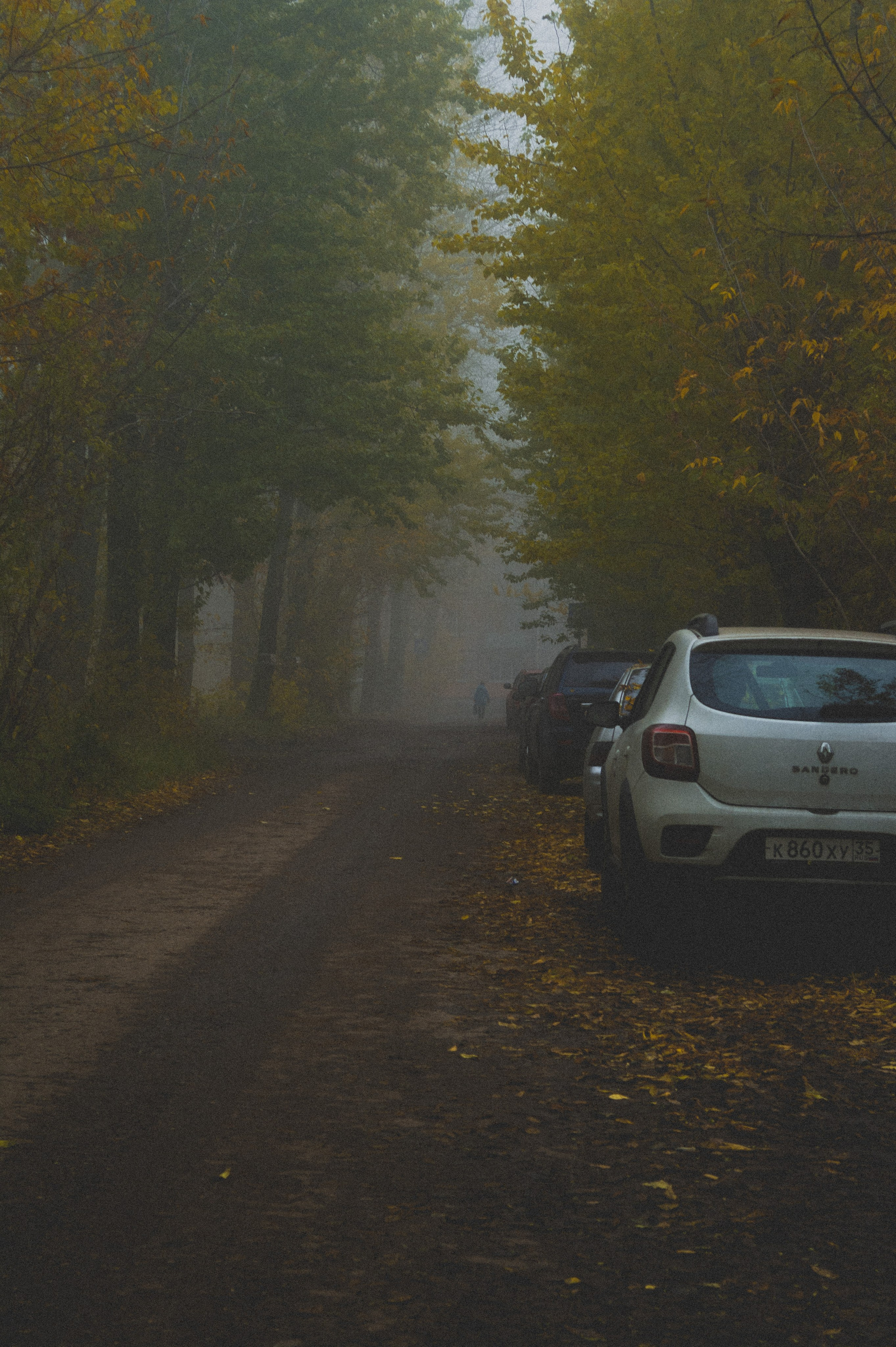 Октябрь 2025. Den Mirov — Фотограф, Музыкант