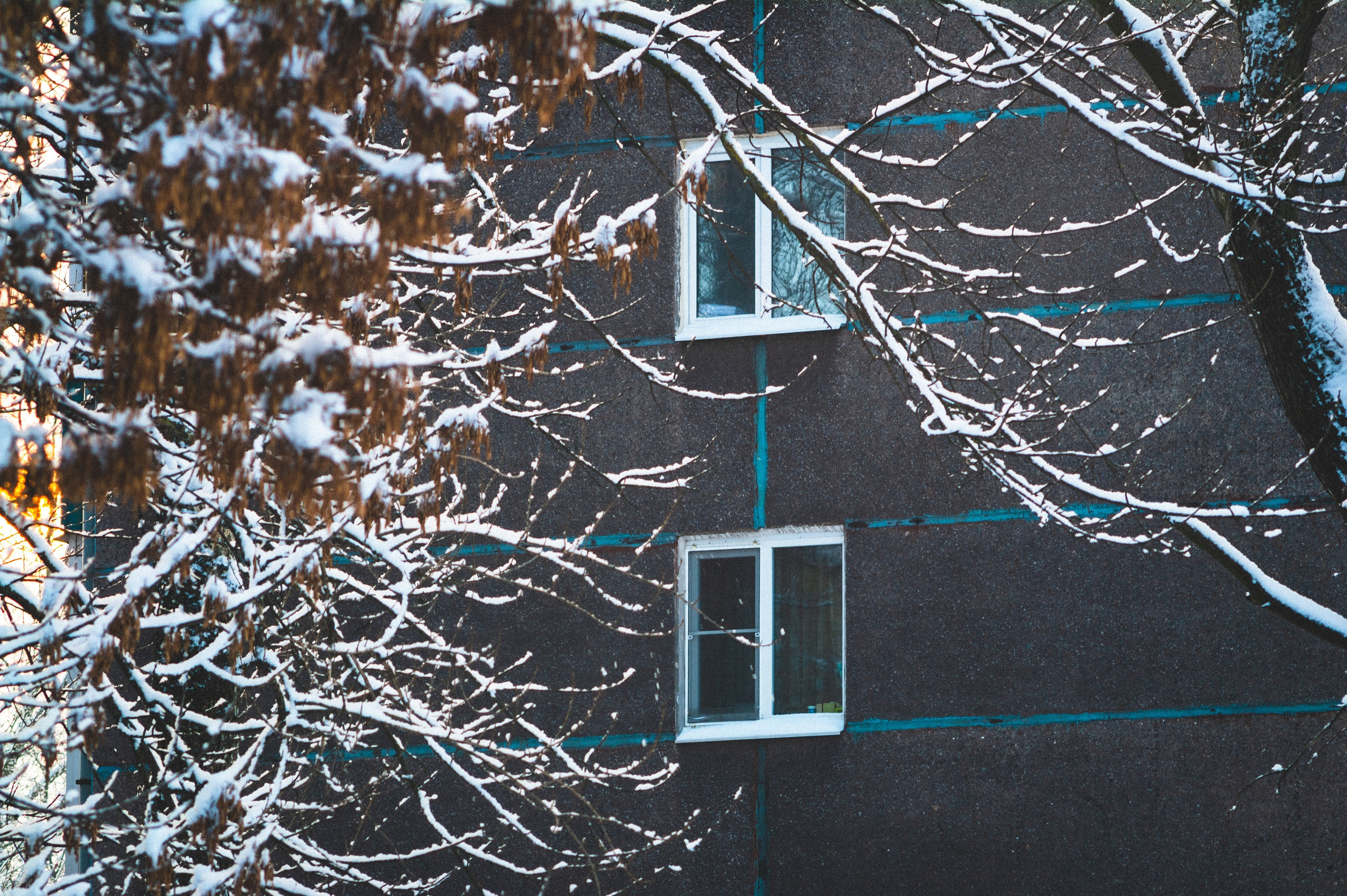 Cold. Soft. Den Mirov — Photographer, Musician