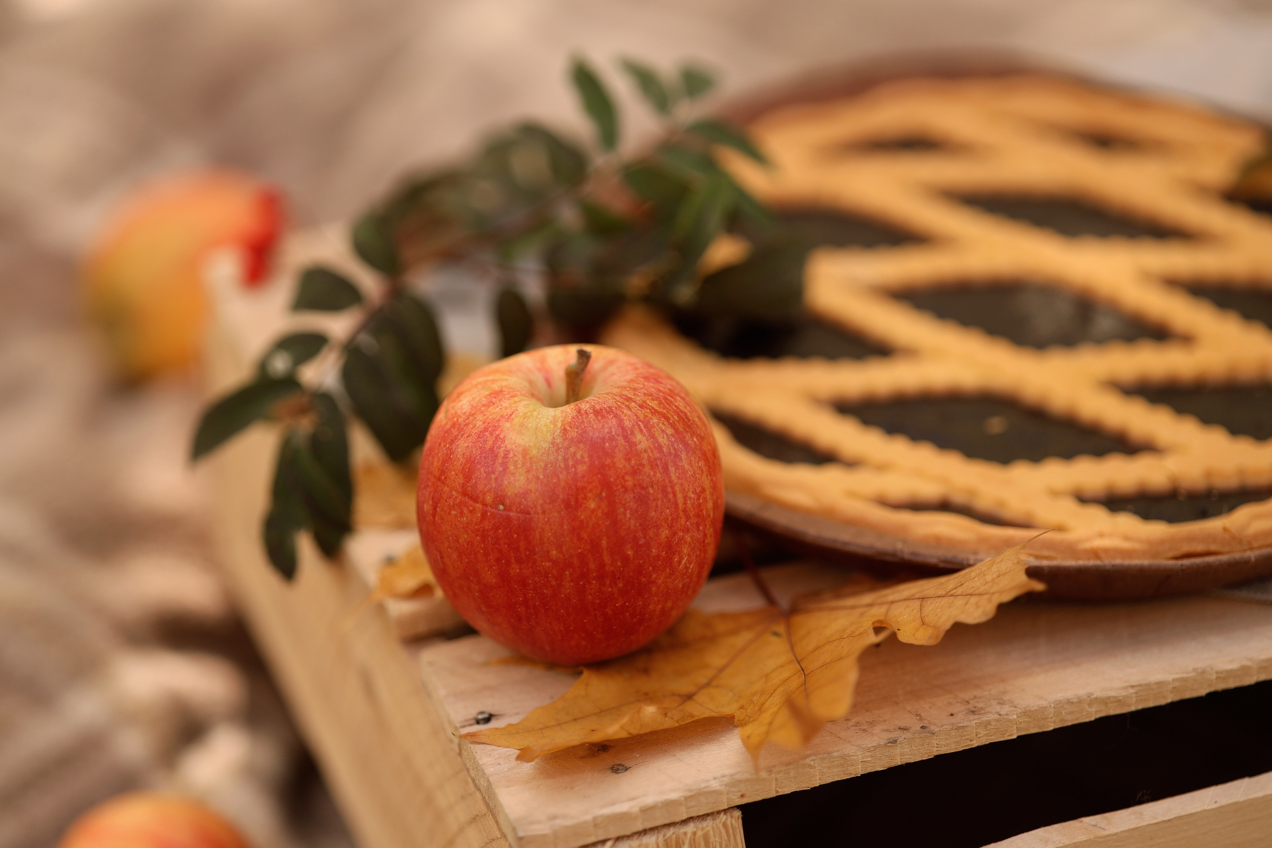 Осенняя фотосессия. Marina Shakirova Photography