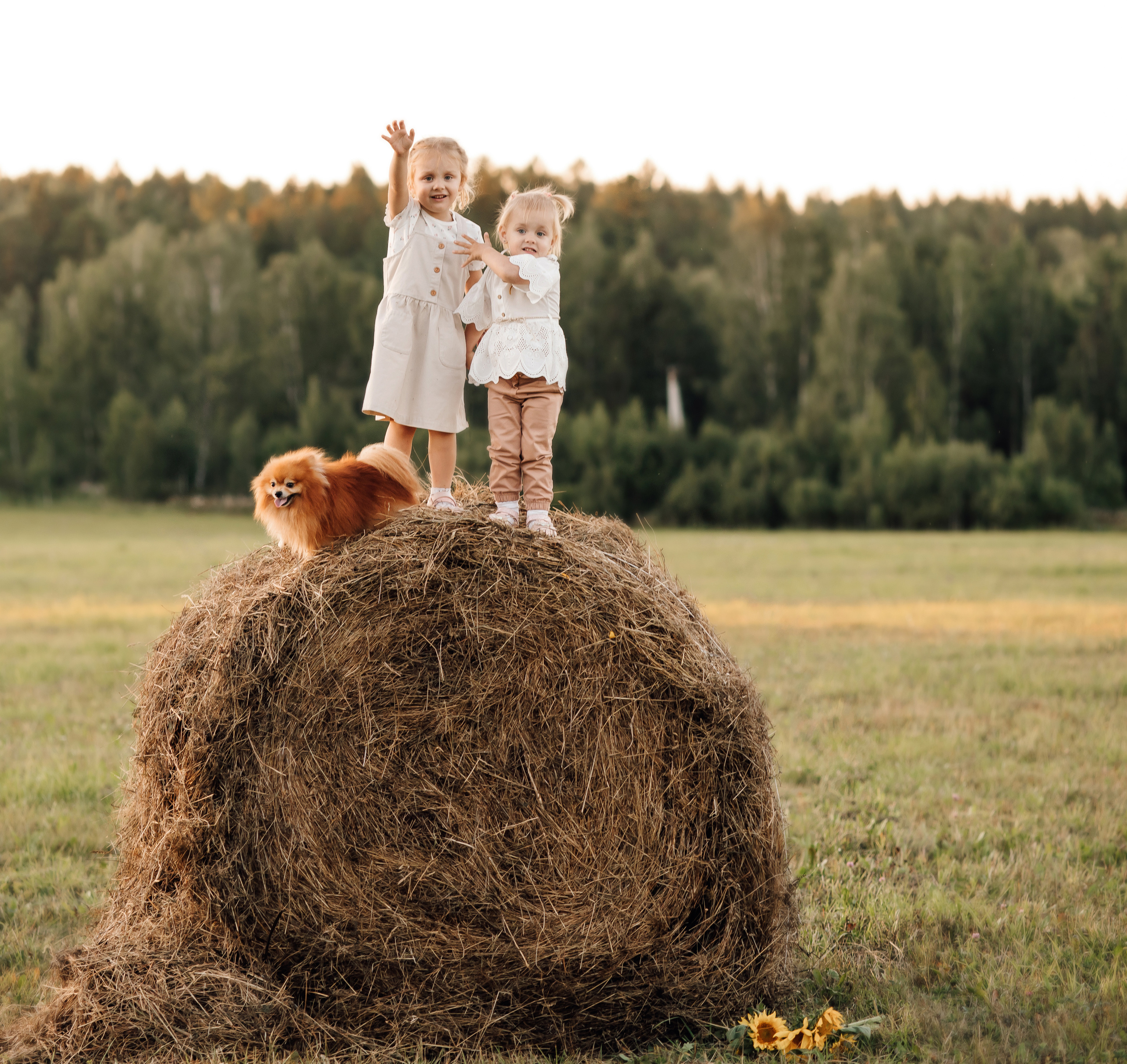 Семья, поле, лето. Marina Shakirova Photography