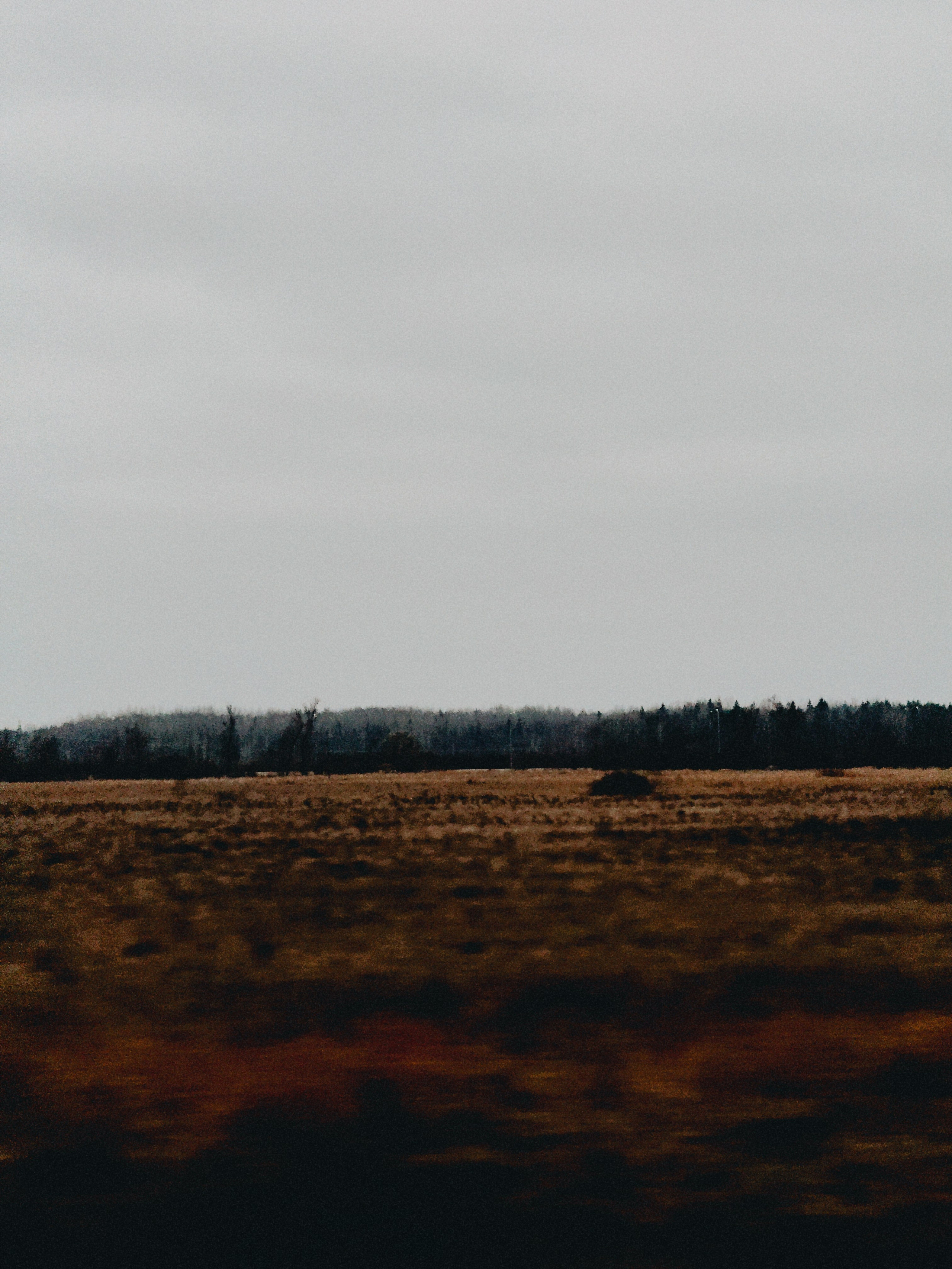 Poezdataya. Film and another stuff