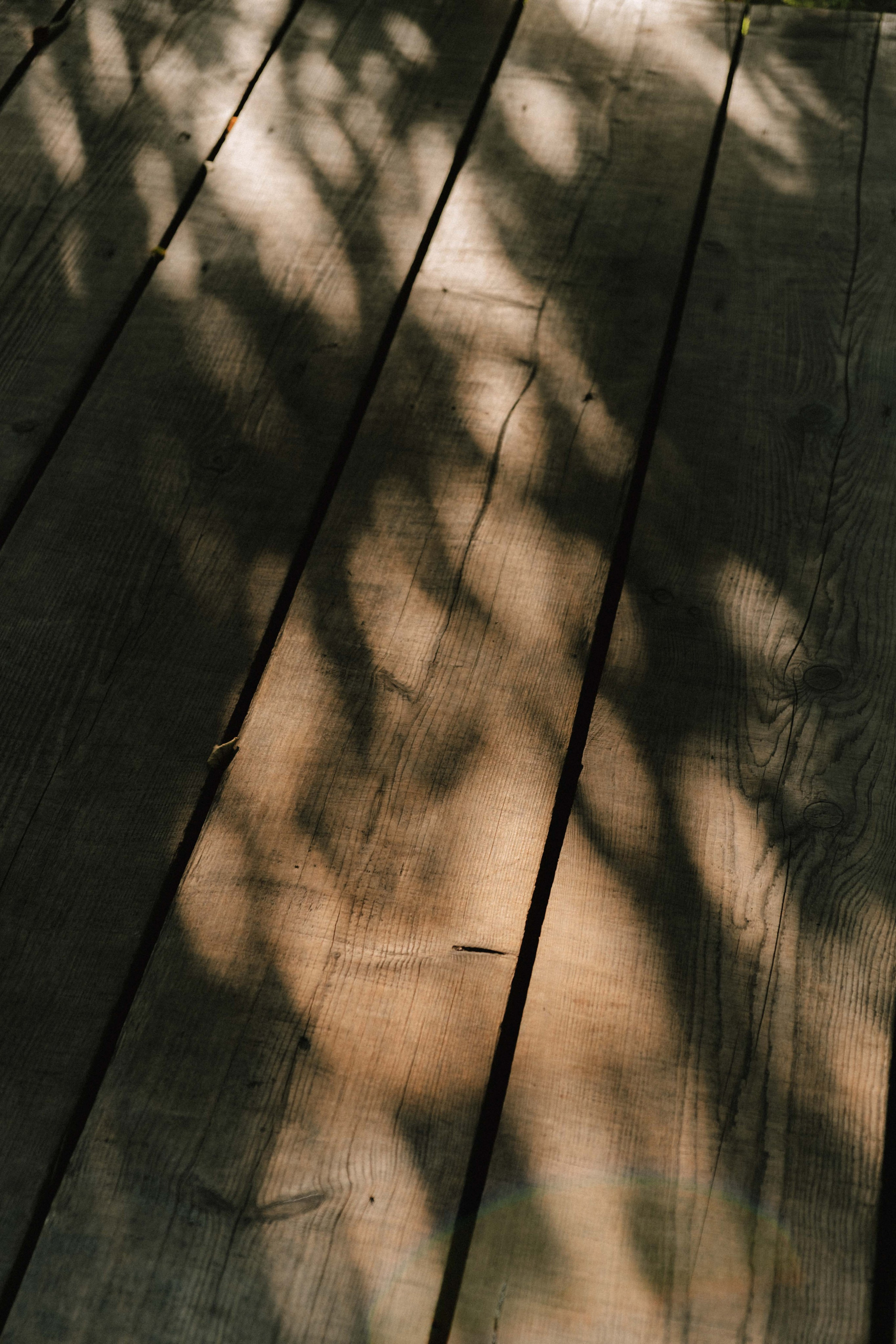 Замечательная повседневность. Контент-фотограф и видеограф в Перми