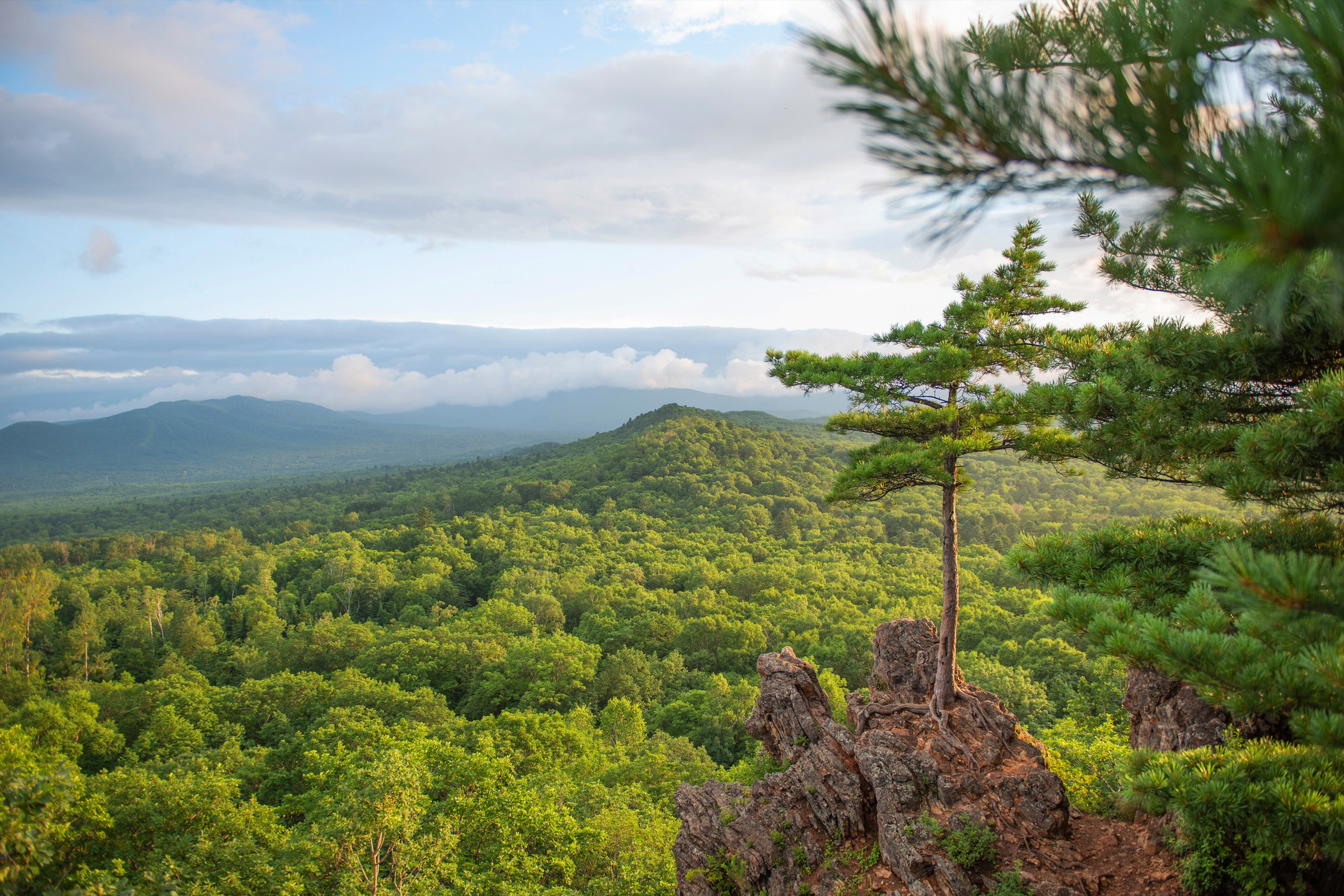Природа Хабаровского края. Команда фотографов Кристины Ивановой