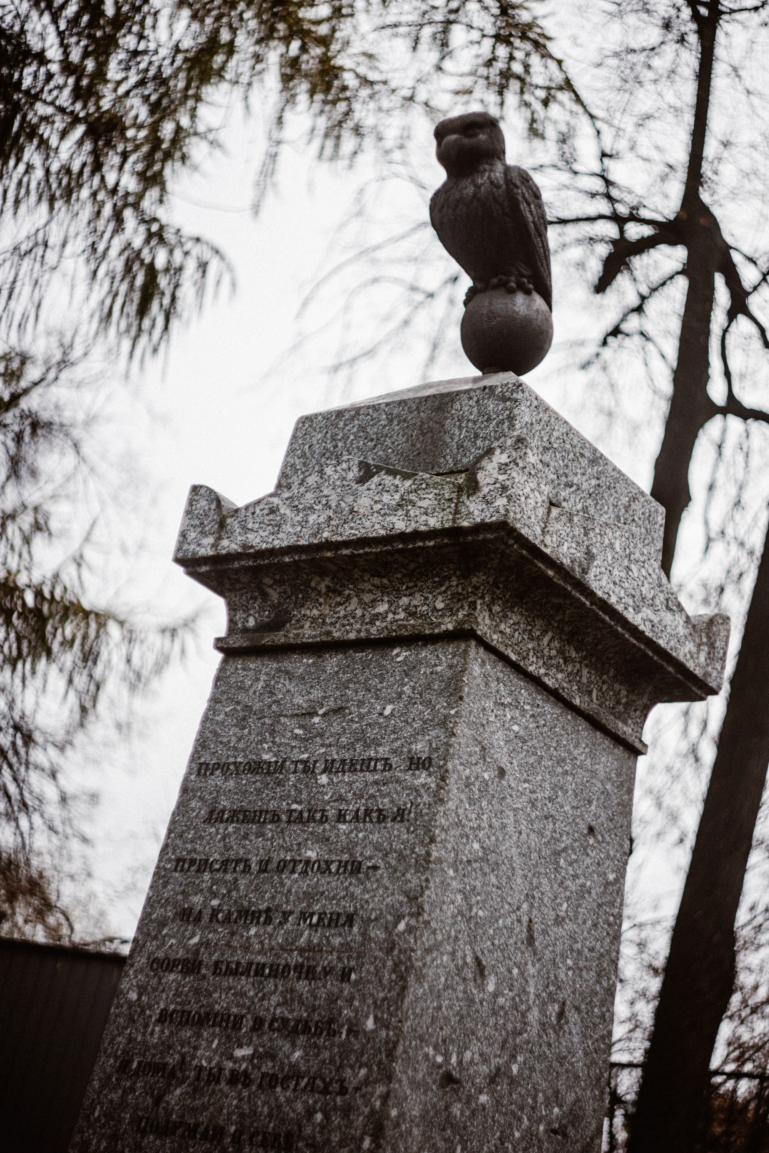 Питер / 24. Фотограф в Нижнем Новгороде