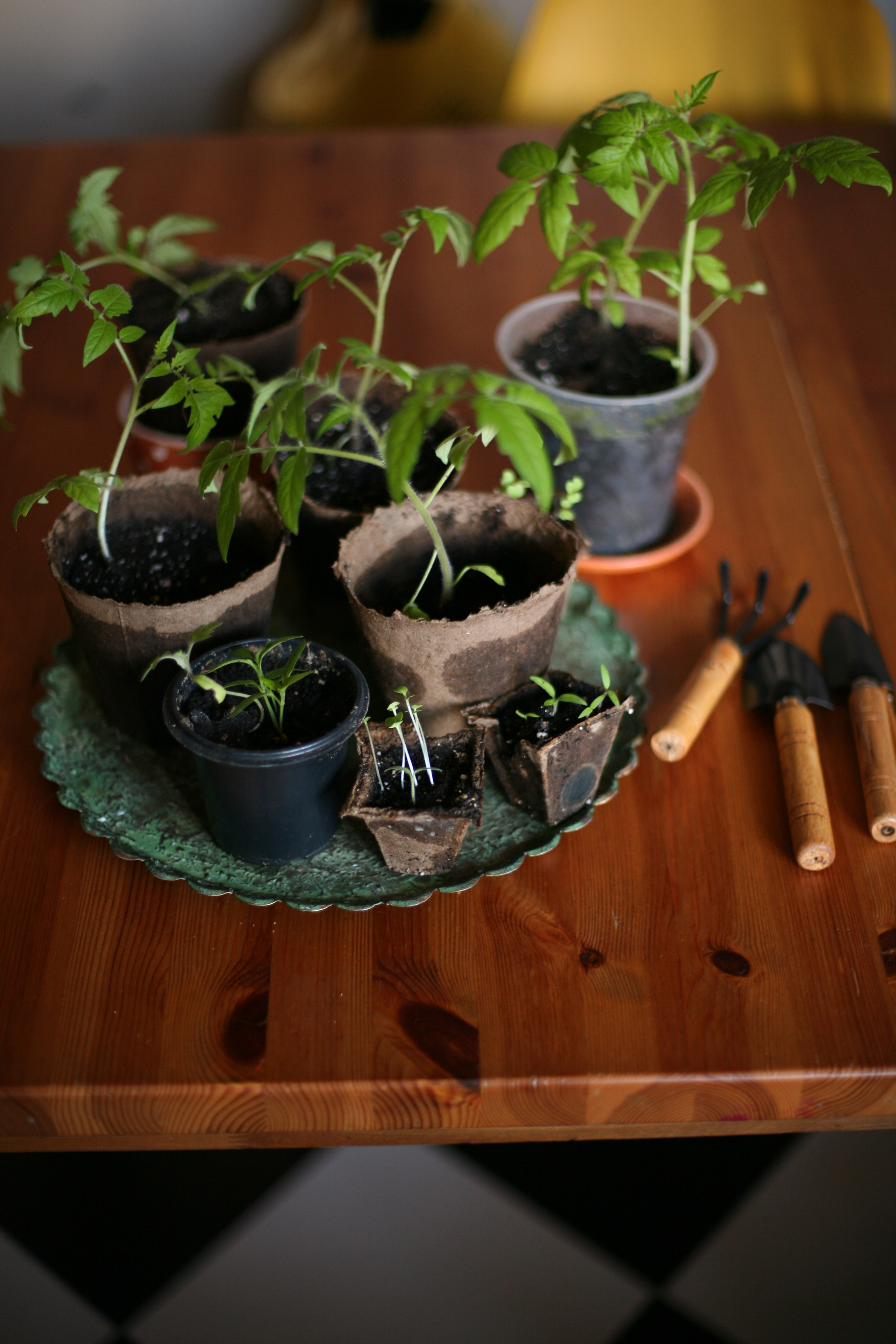 Курс «Психология на грядке». АRТ&PSY | Искусство психологии