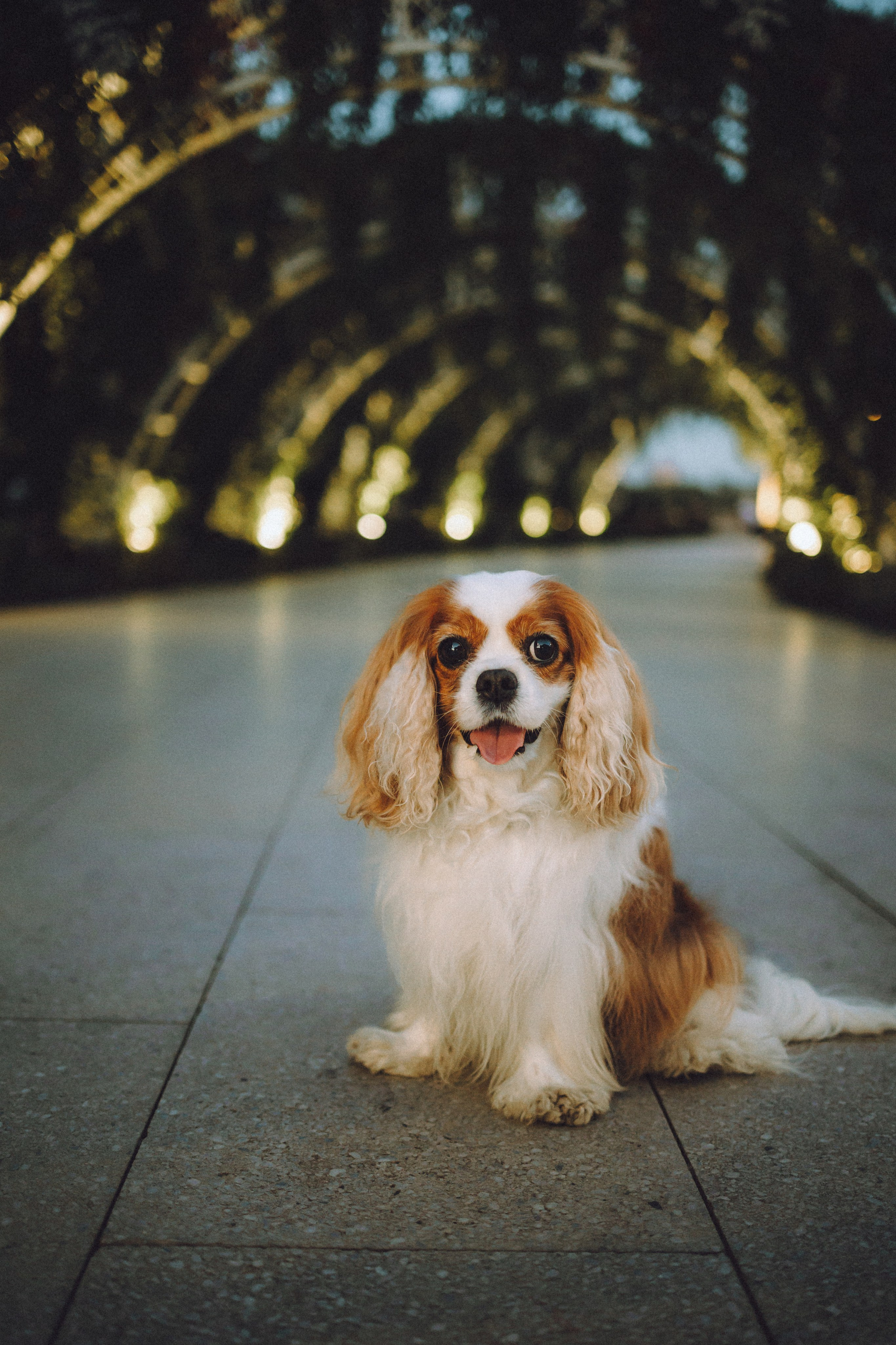 Наташа и Вики