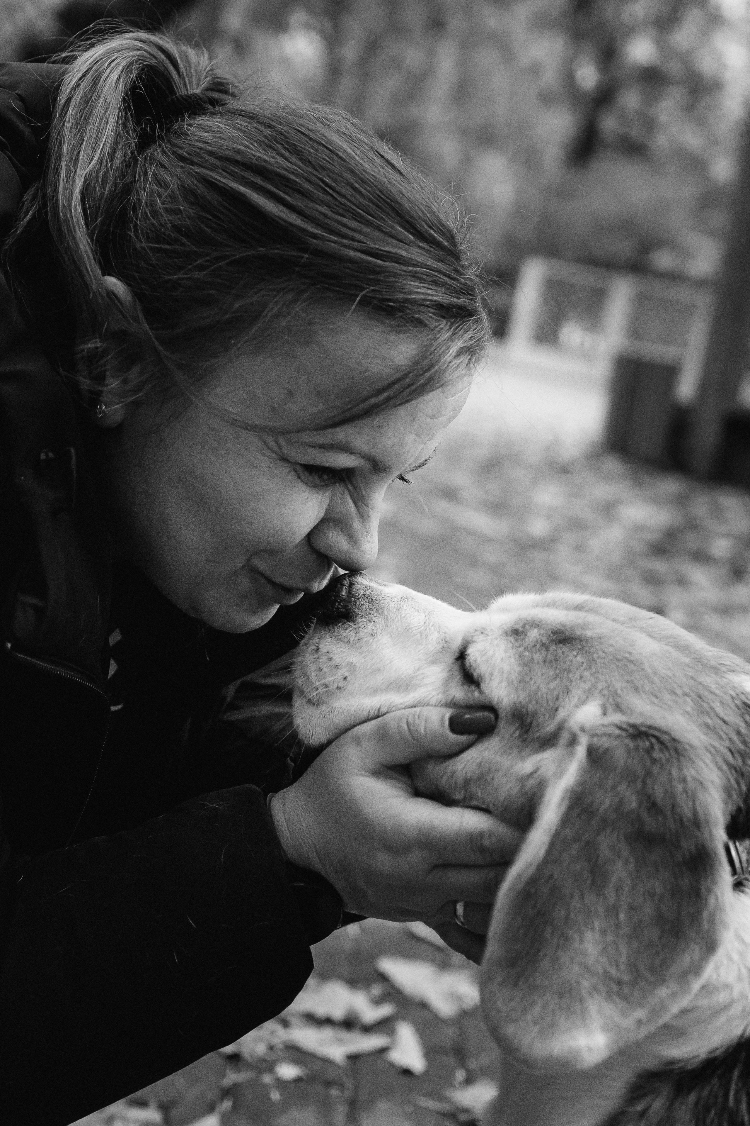 Семейная фотосессия с собакой. Семейный фотограф в Москве, Щелково, Фрязино _ Виктория Степанова