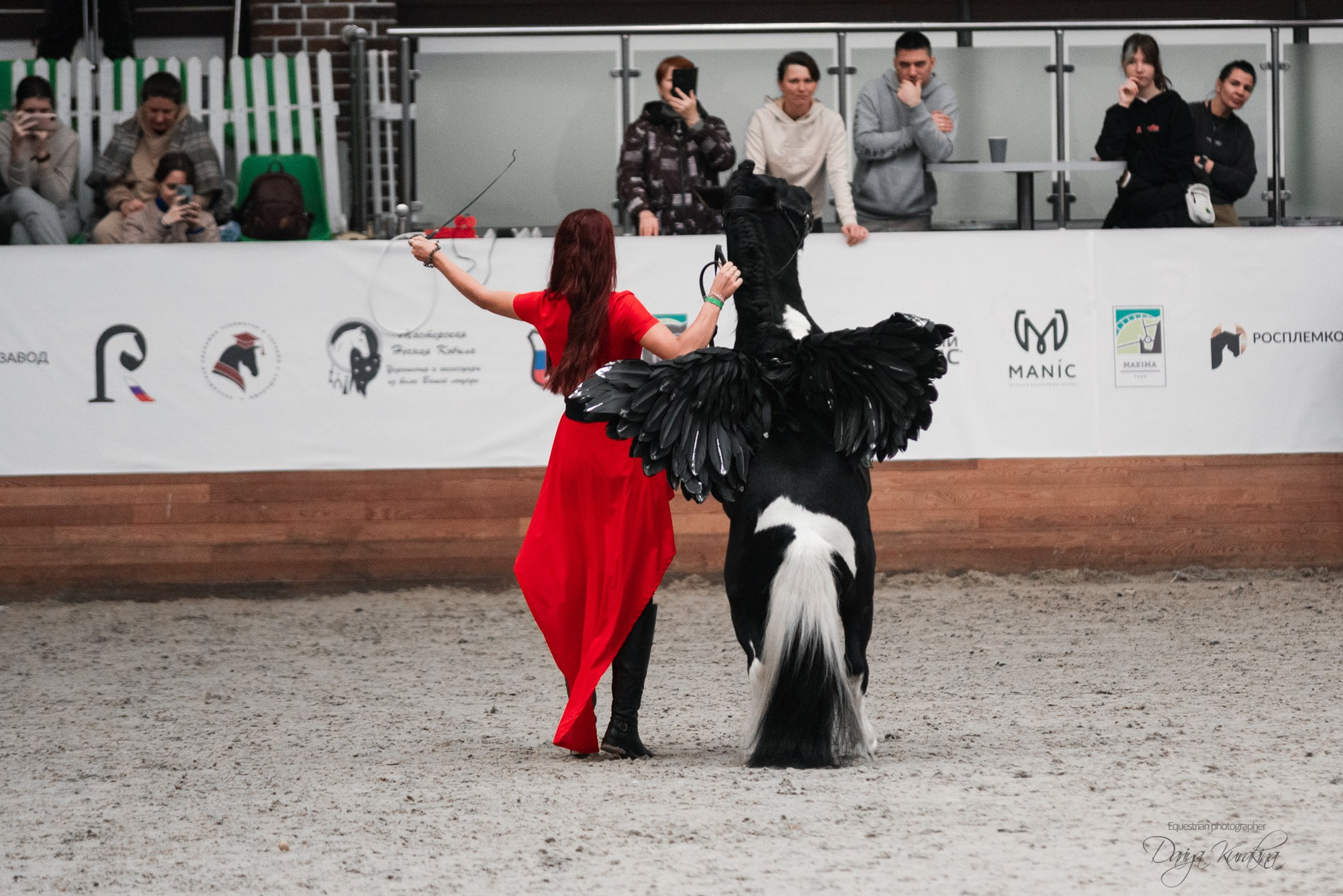 8-я международная выставка Конная Россия. Конный фотограф Куракина Дарья • Фотосессии с лошадьми