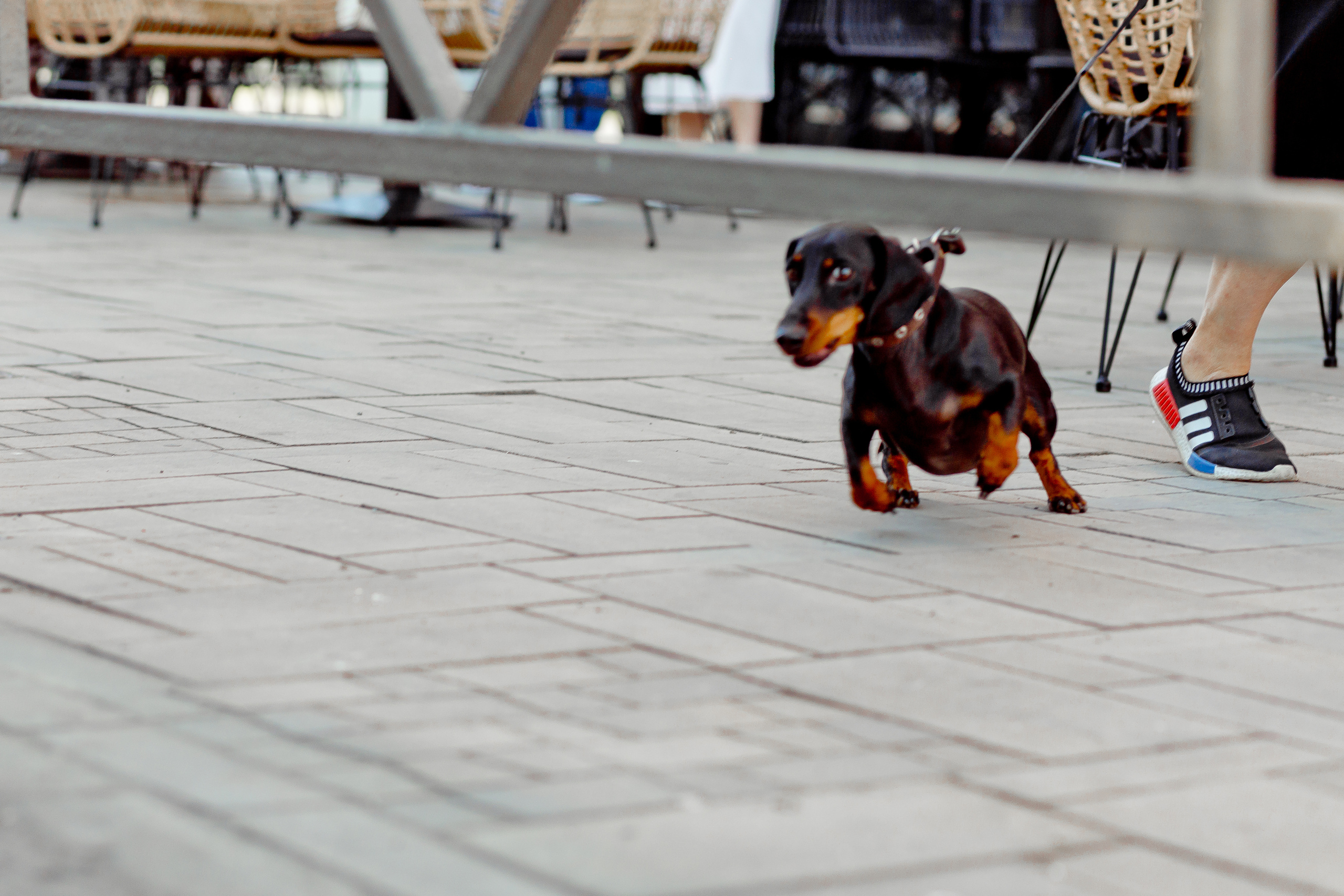 Фотосессия Love story в Cамаре