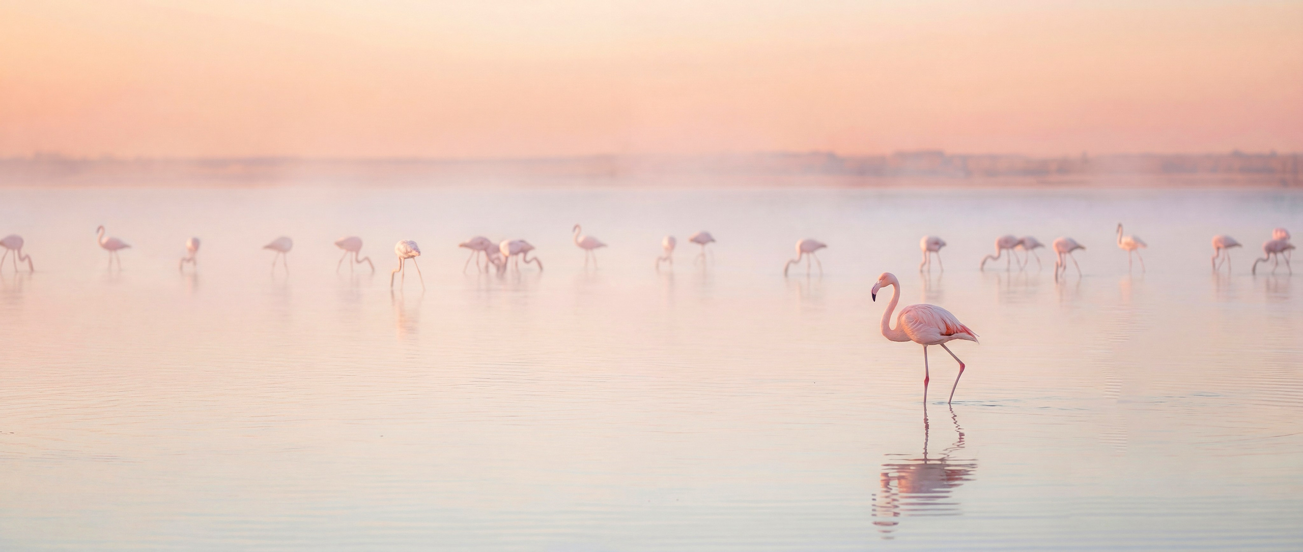 Сложилось само. Авторские детские песни