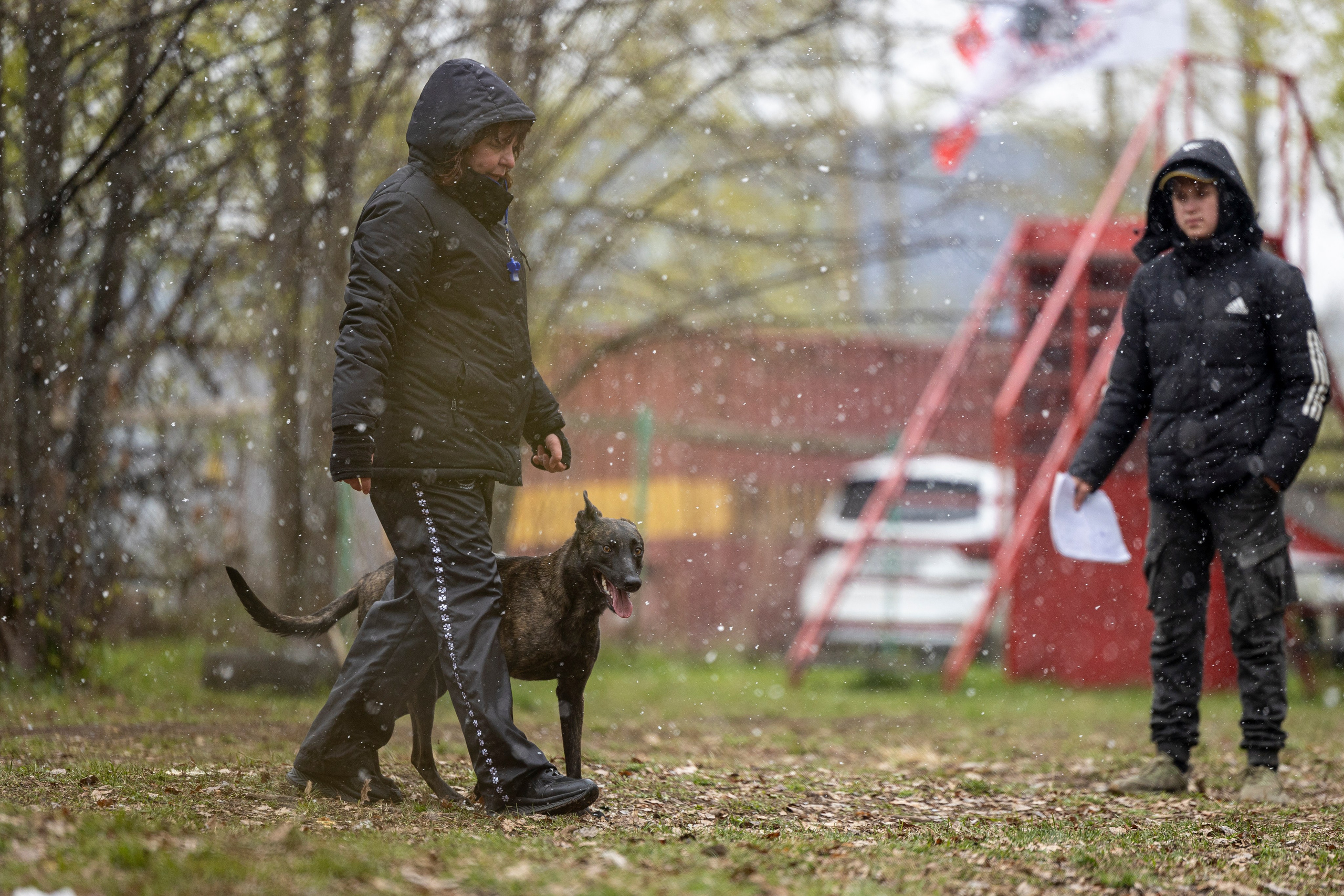 Квалификационные состязания по мондьорингу г. Вологда 11.05.24. Фотограф-анималист Анна Маринич