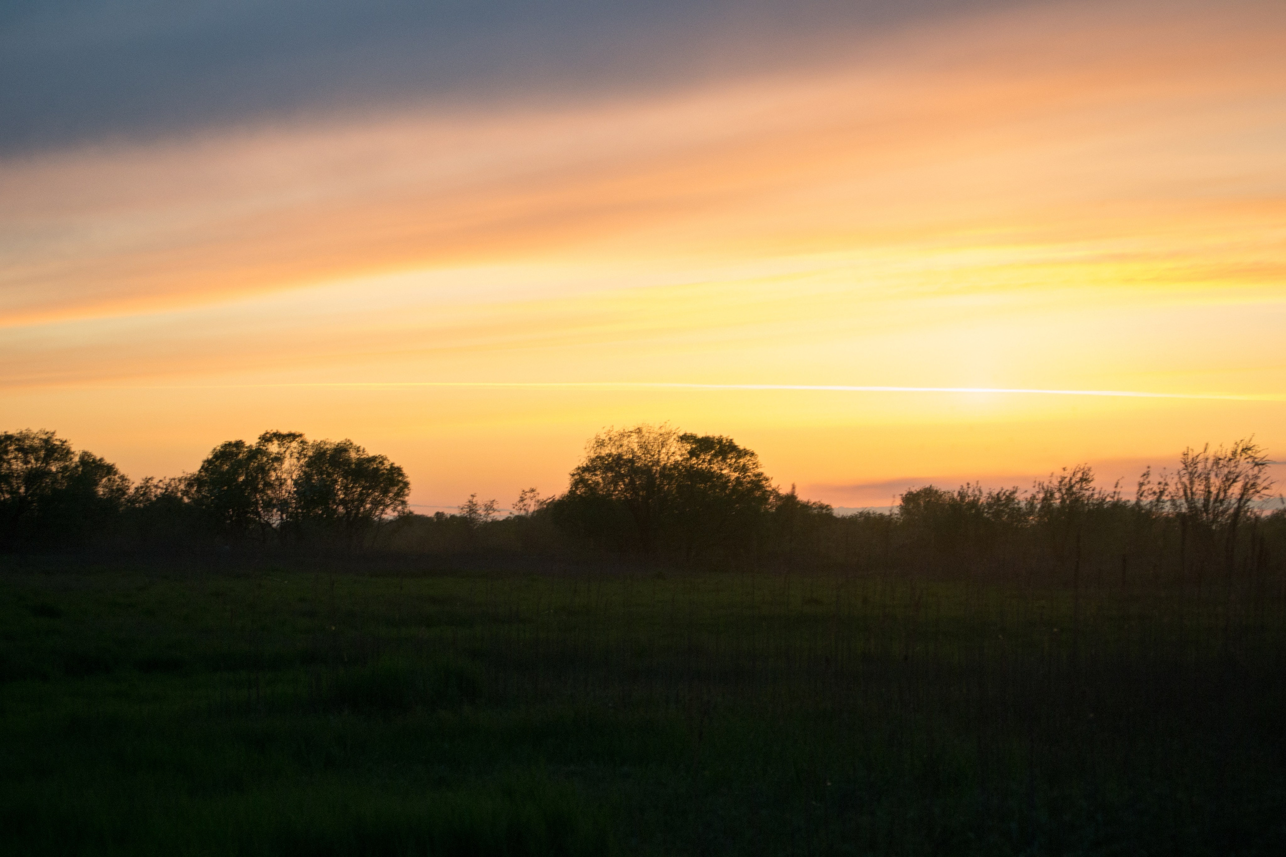 дачи, город, архитектура, стрит, репортажная фотография, фотография, Хабаровск, фотосессия, фотограф, дом, новостройка, улицы, жизнь города, town, art, photo, photographer, photo, Khabarovsk, Far East, street photo, природа, Дальний Восток, тайга, цветы, закат, небо, облака, nature, clouds, forest, flower, sunset