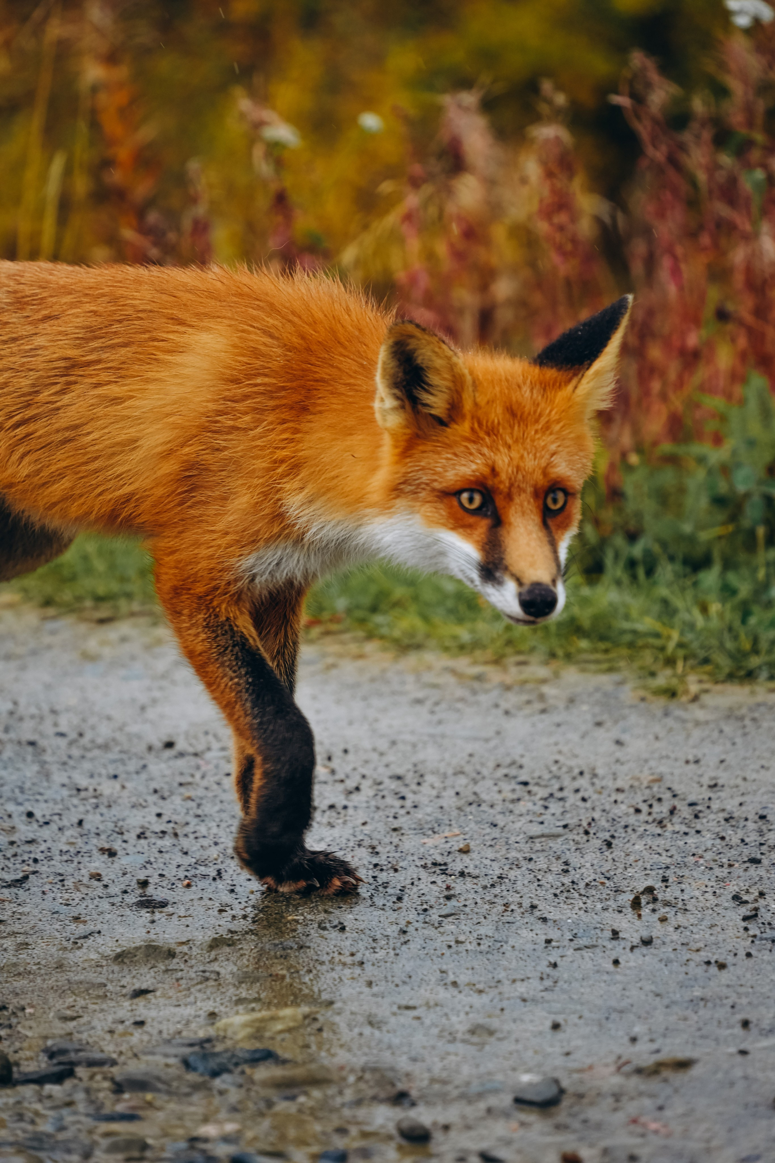 СЕВЕР. Event фотограф Степанова Александра