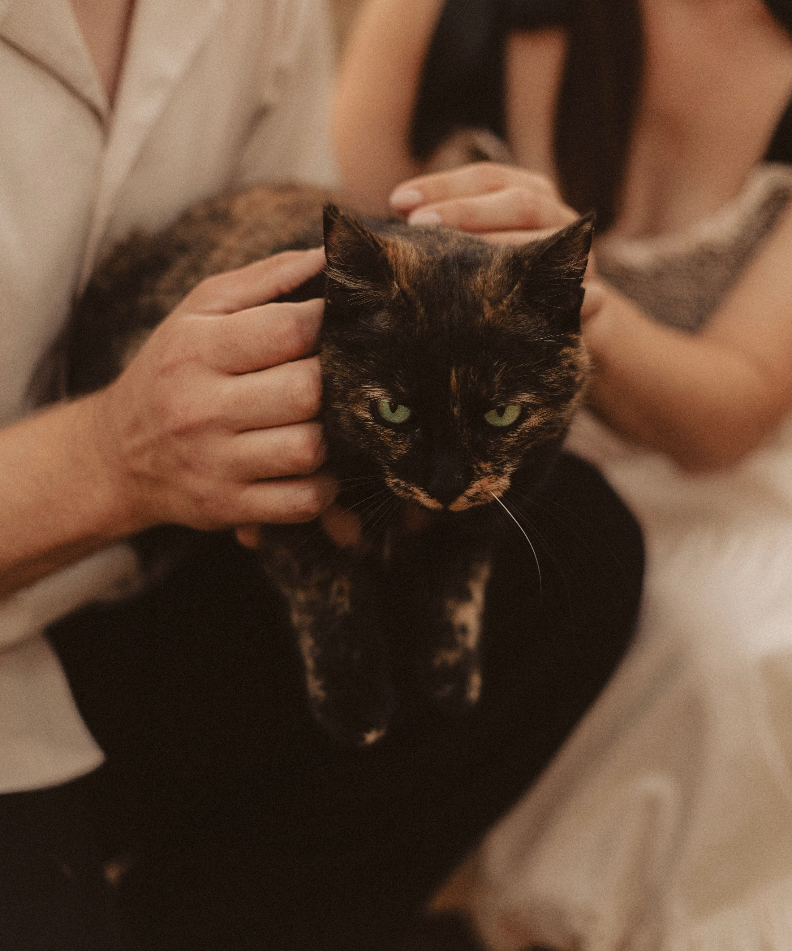 Влад и Ангелина. Фотограф свадебных и парных историй Кристина Шакула