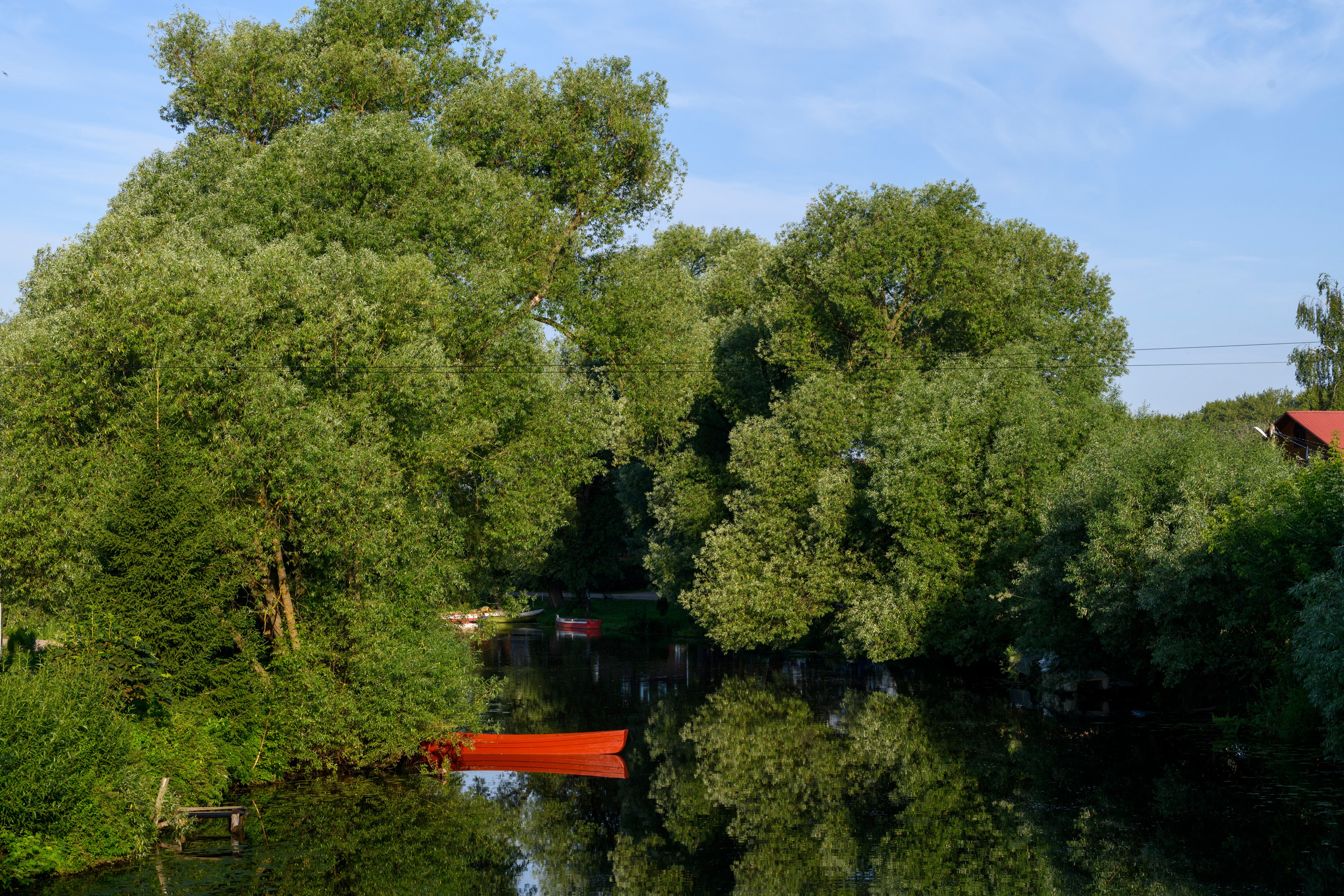 Переславль-Залесский. Wildlife photography by Sergey Puponin