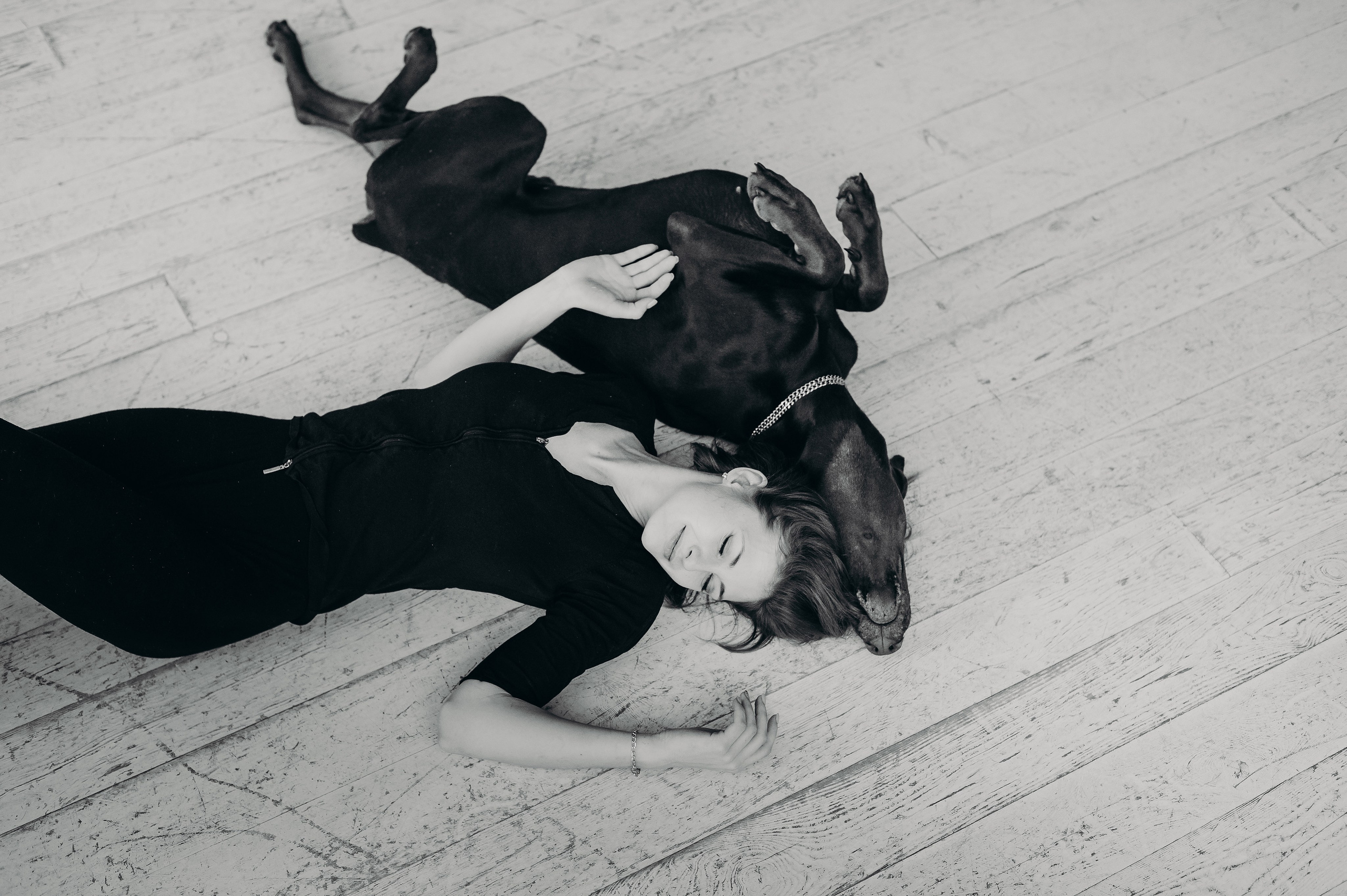 Анималистика. Главная