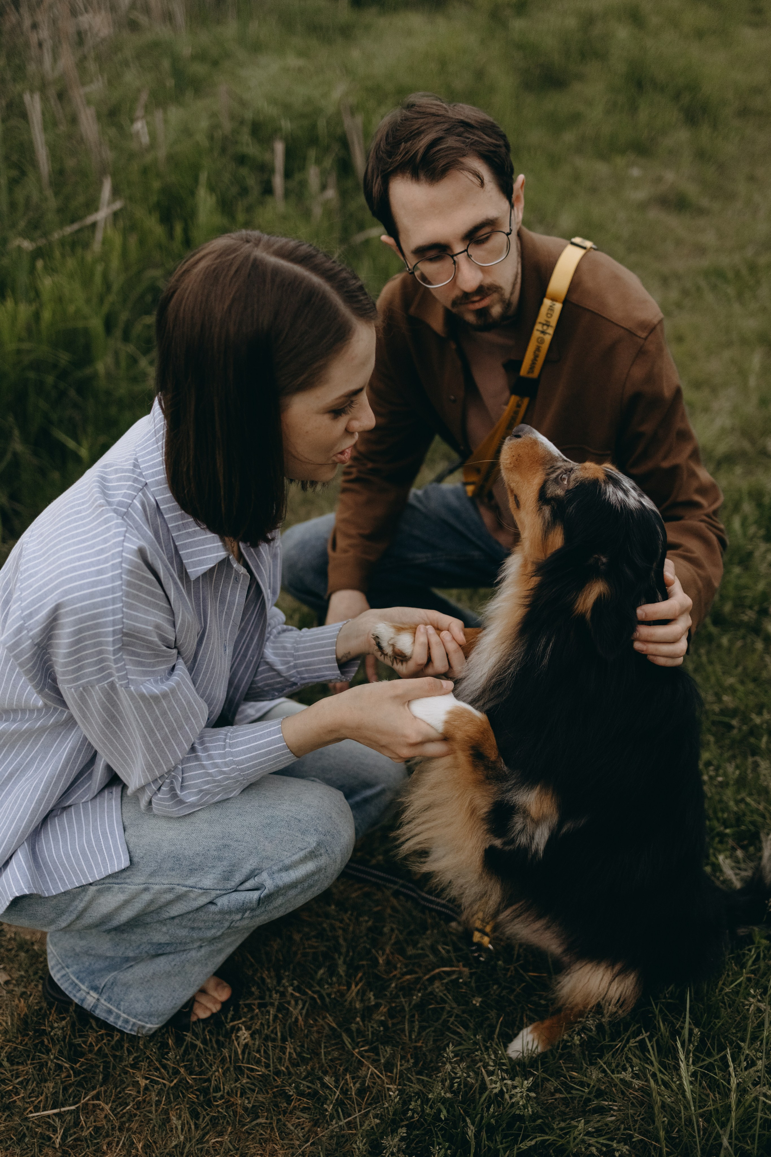 Настя, Никита и их Гром и Мяу. Фотограф — Анималист | Санкт-Петербург