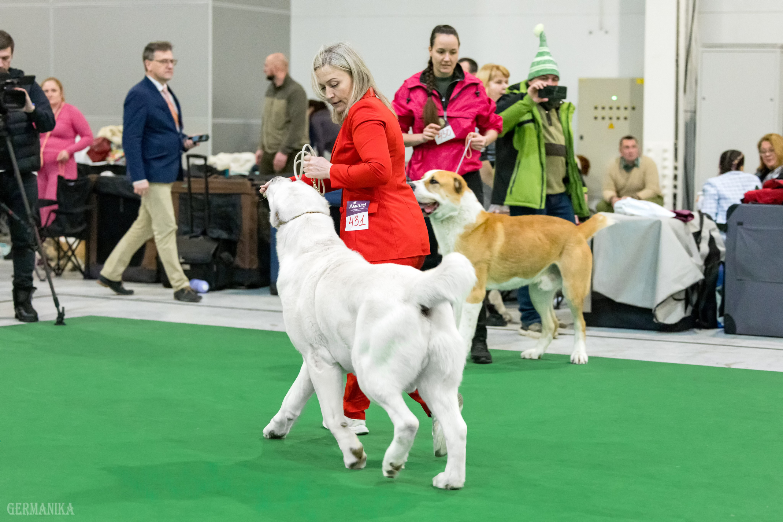 Сабанеевка 26-27.01.2024. Фотограф-анималист Юлия Германика