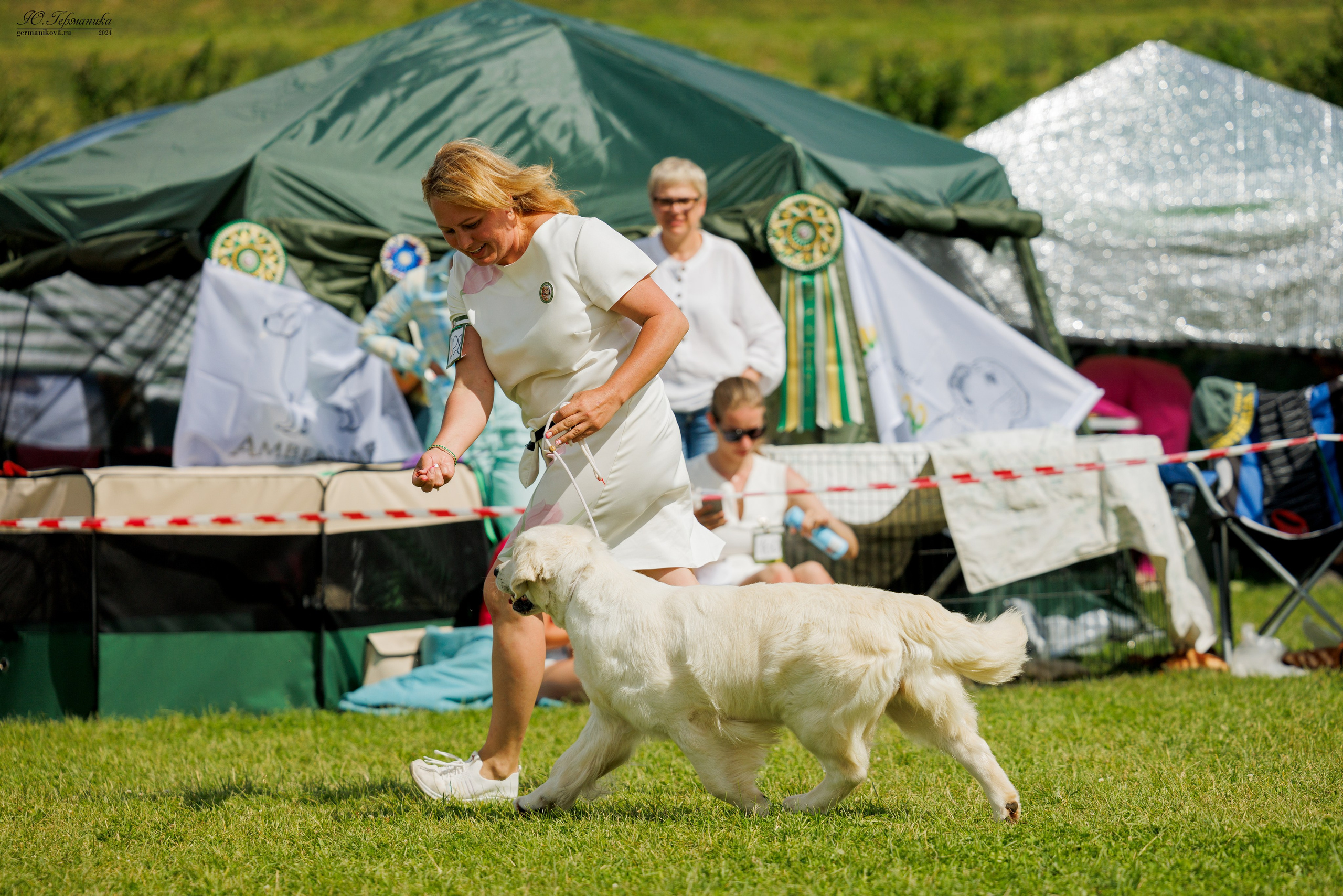 Голдены 15-16.06.2024. Фотограф-анималист Юлия Германика