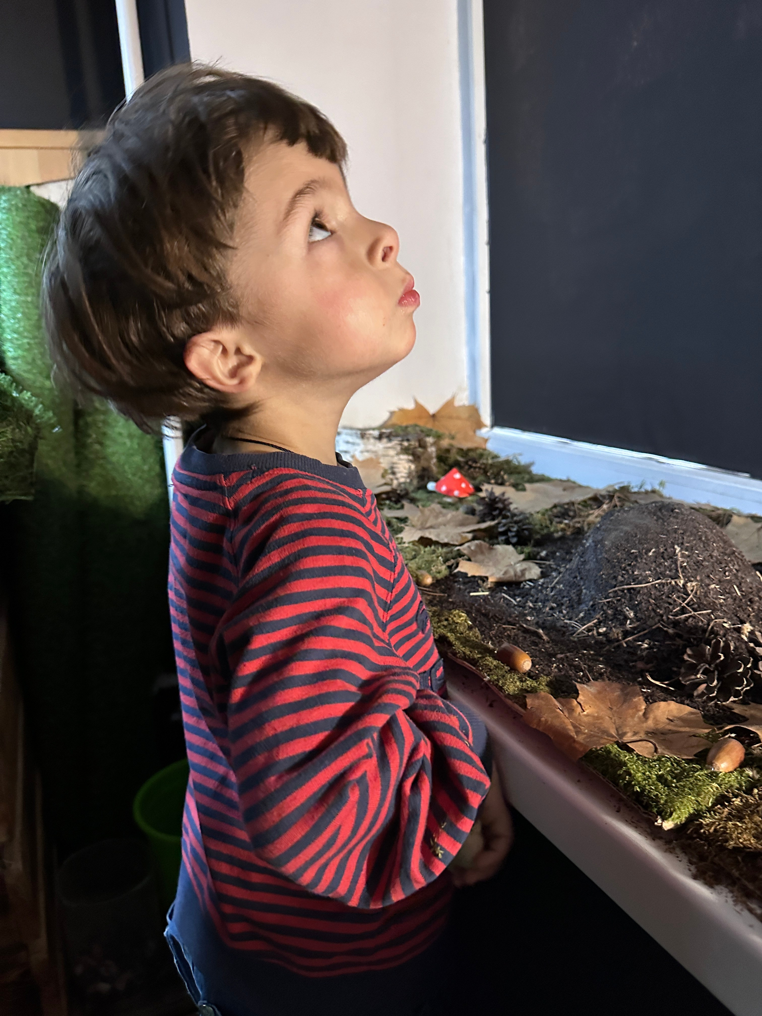 Дети. Смотри, красота!