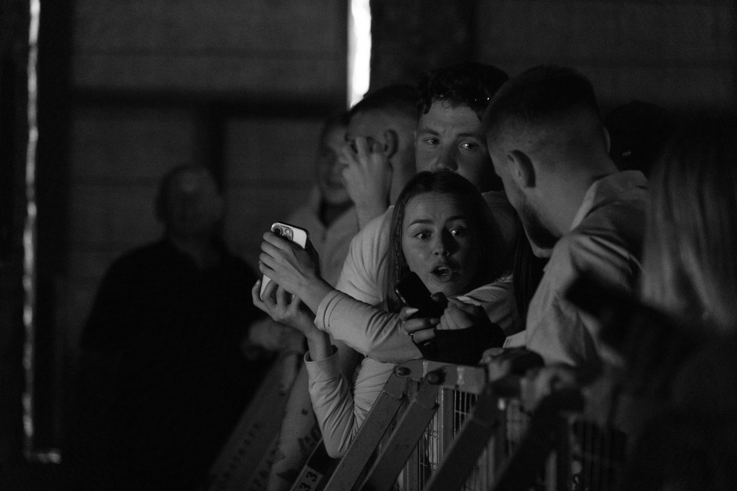 Хаски — Смоленск 23.05.2025. KiPPER Gallery — Фотограф