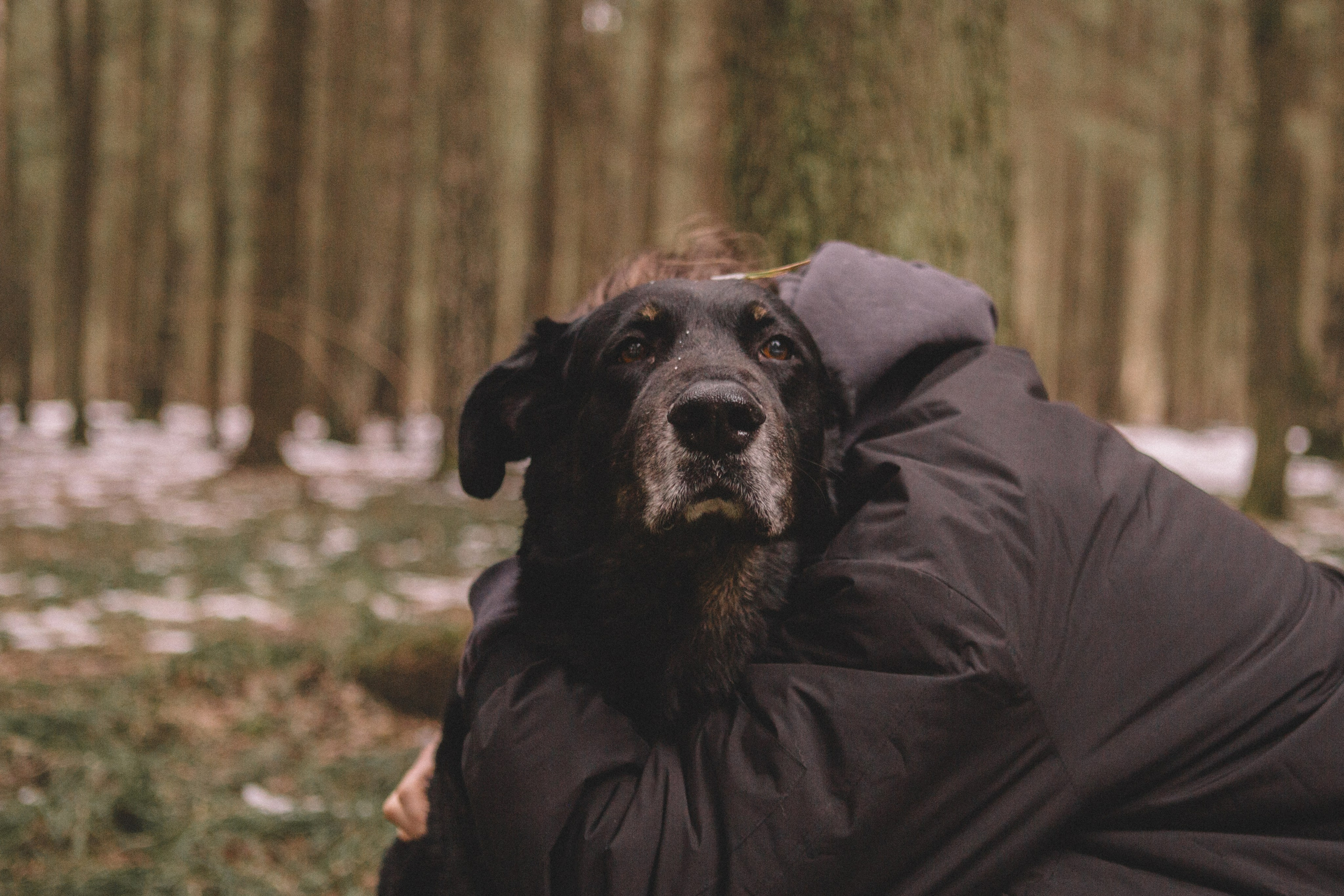 Alyona & Felix. Portrait, family and pet photographer in Cyprus, Ksenia Bourdelle
