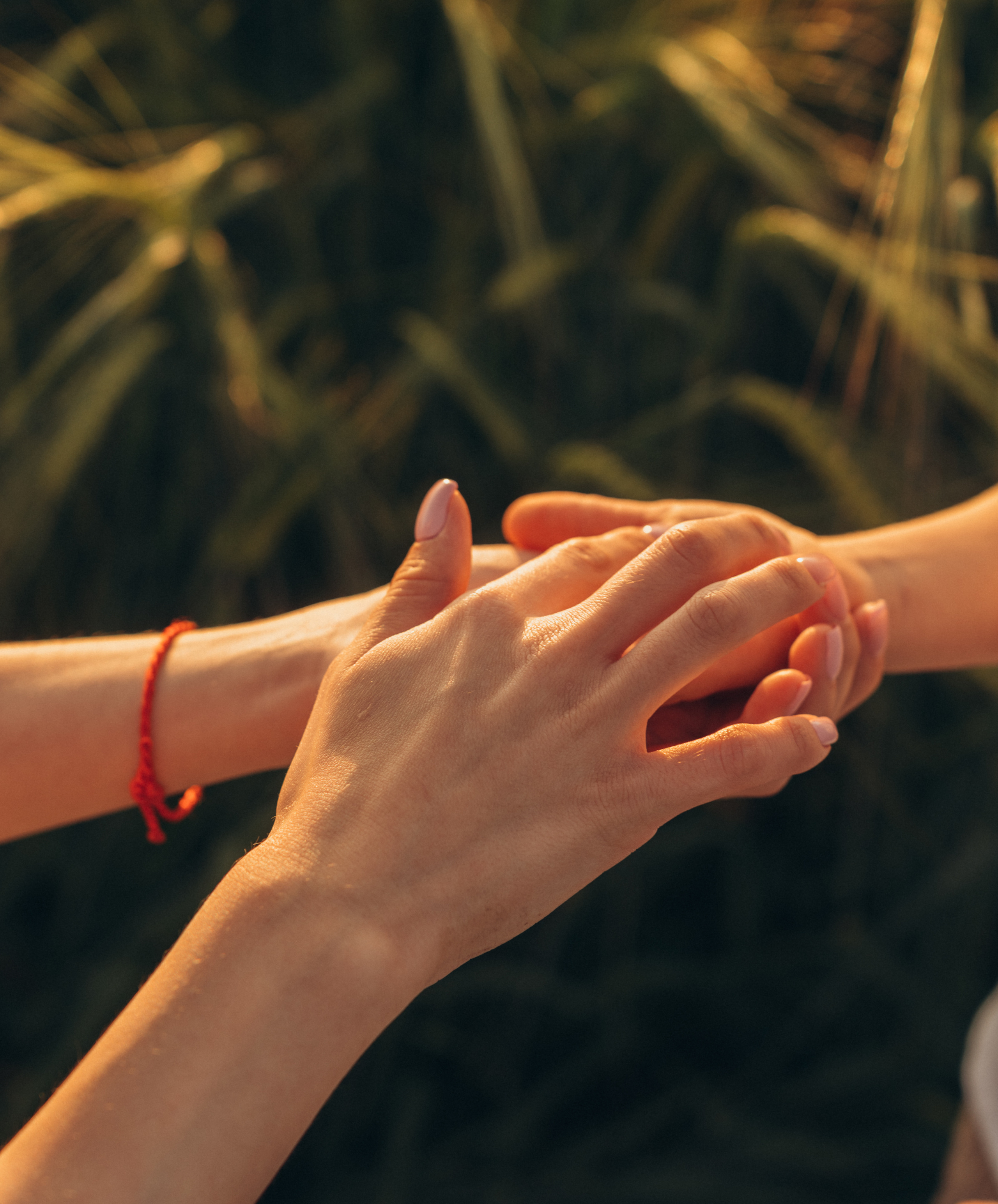 Пшеничные поля. Ваш фотограф Вика Артемова