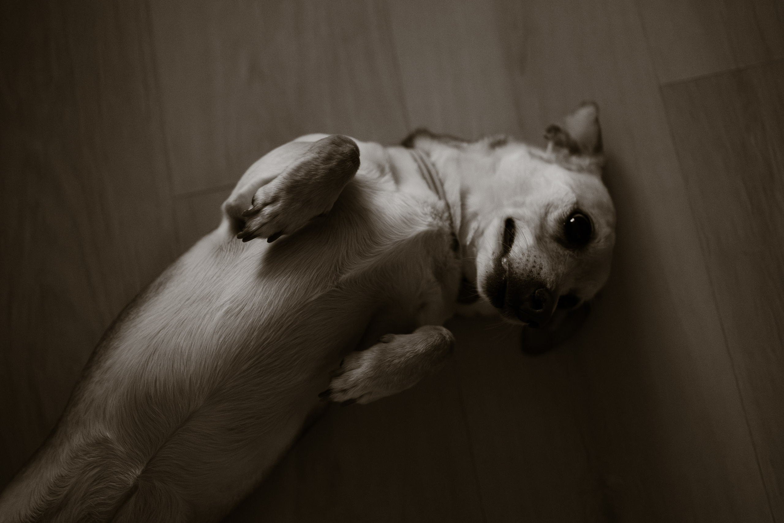 Настя, Леша, Алиска и Сеня. Фотограф в Минске — Мария Миллс