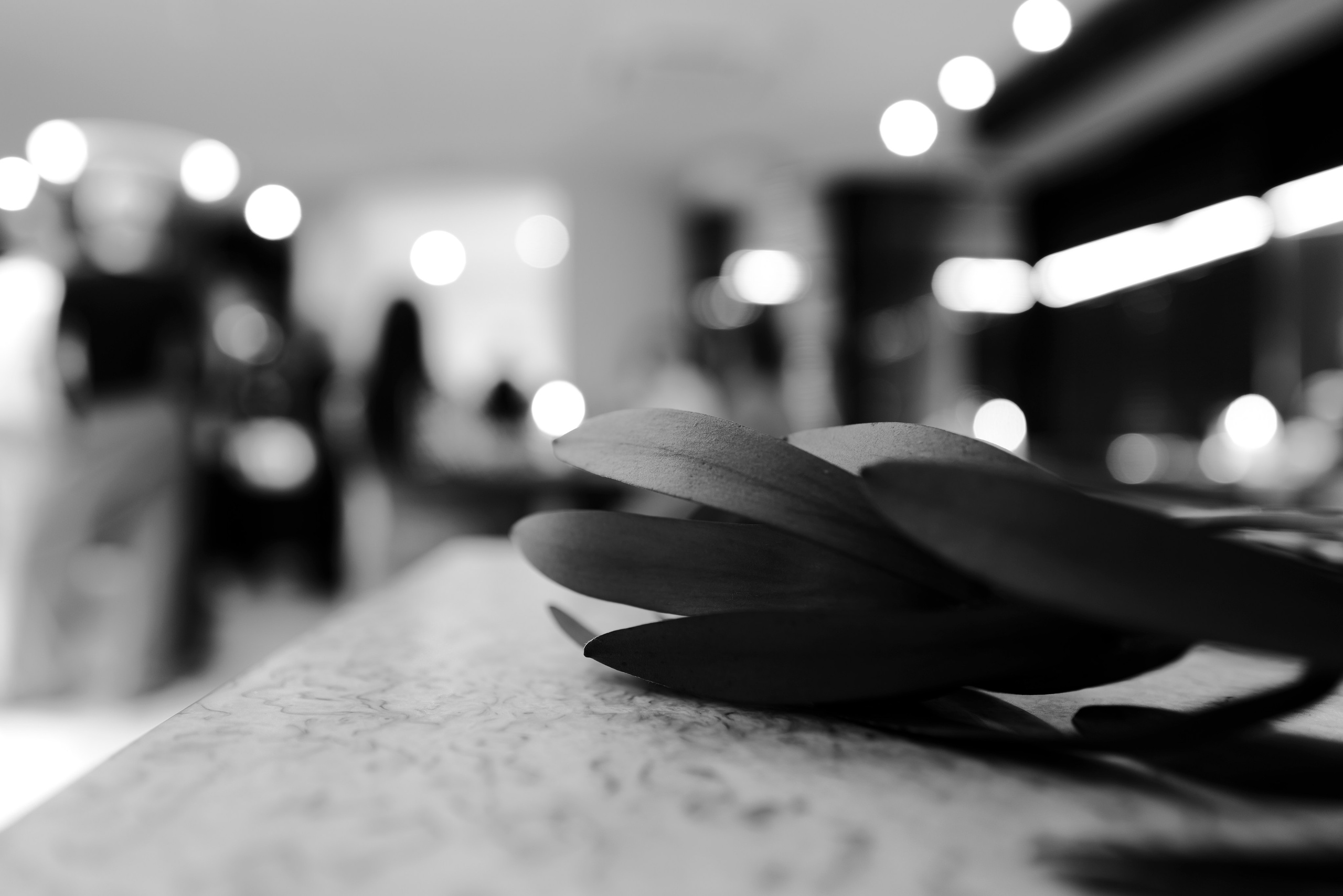 Lu Girls Only. Maxon Magnusson