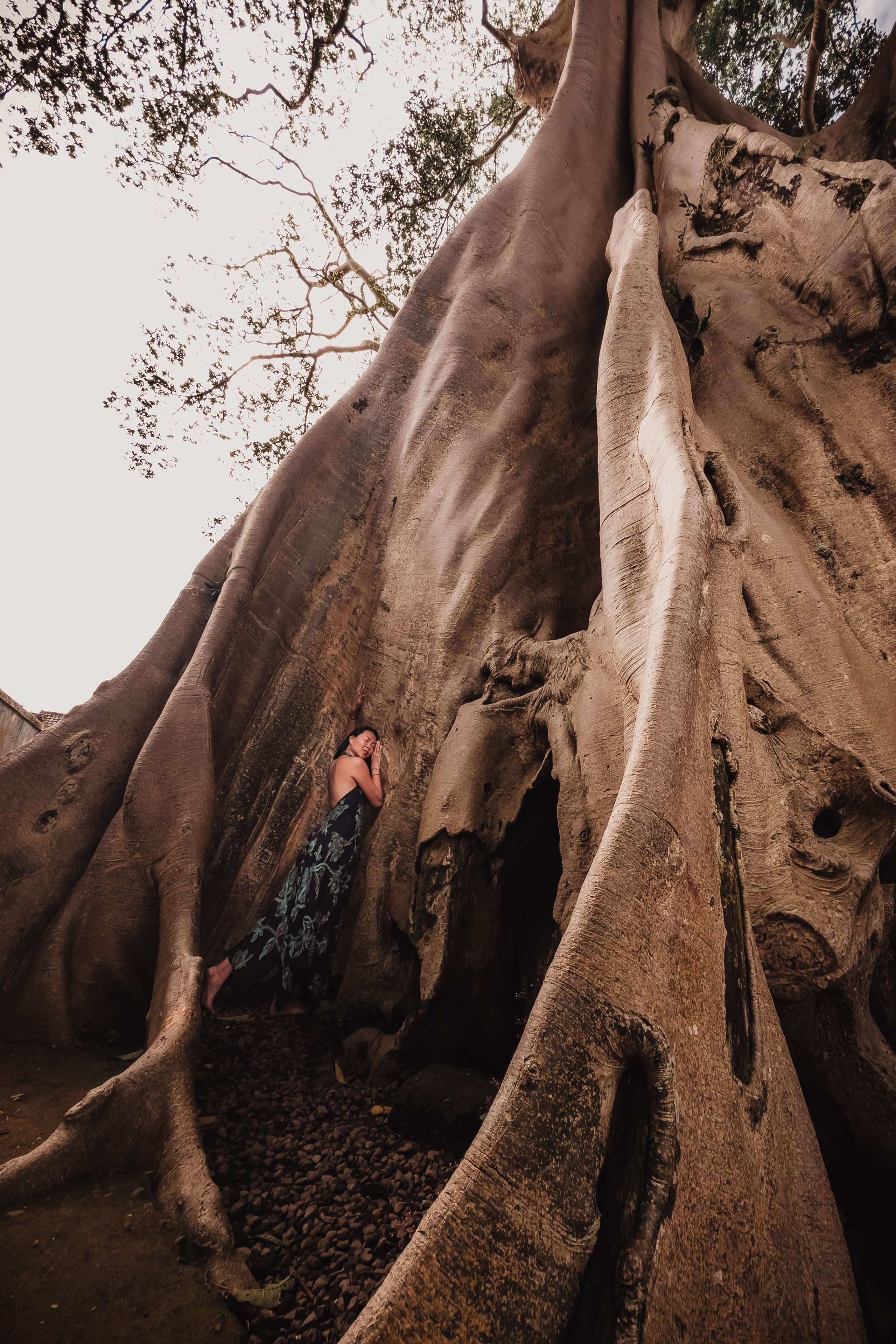 Banyan date. Mariam Bagdasaryan