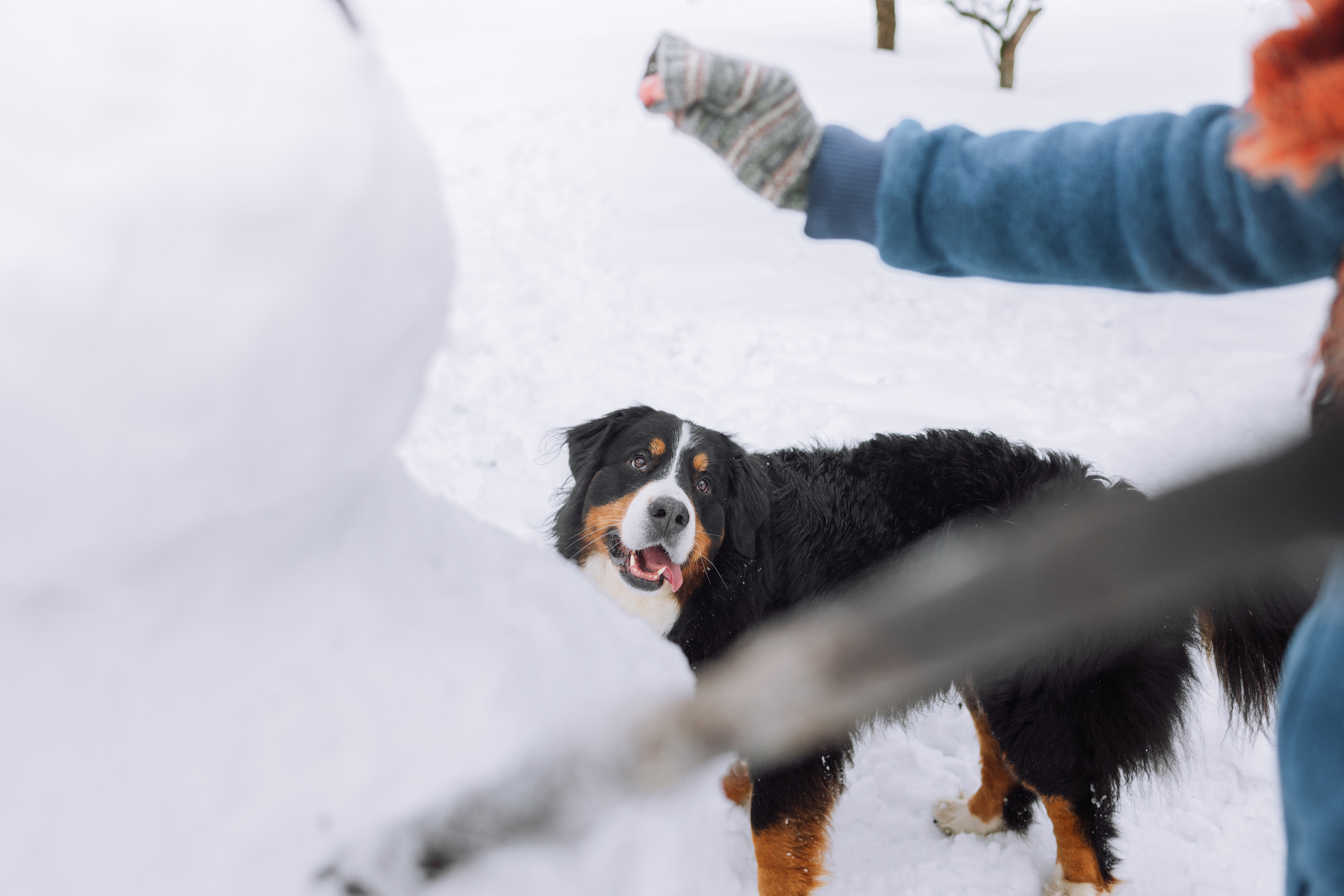 Софья и Баста. Фотограф Ирина Астор